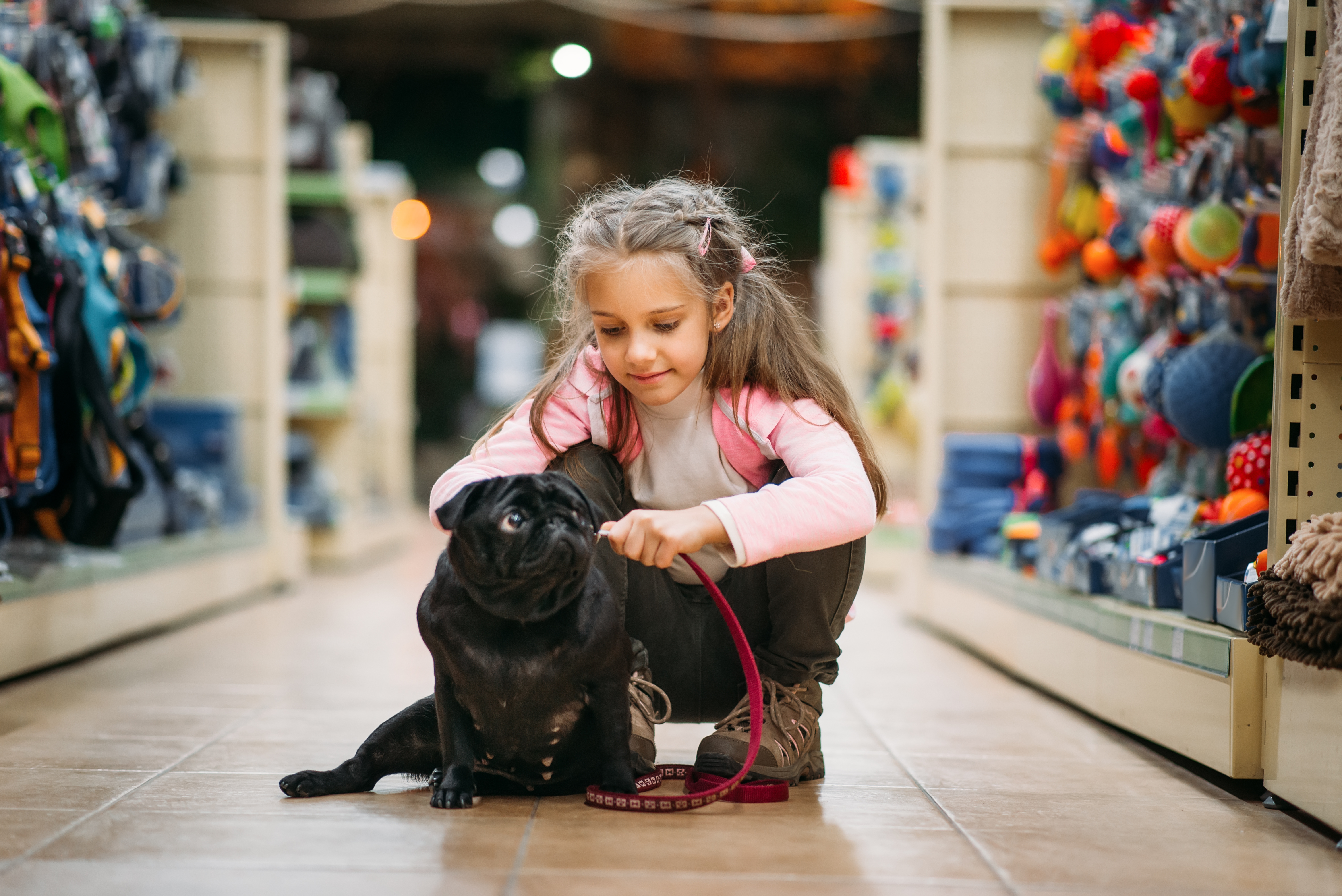 A young girl and her loyal dog in an aisle of a pet-friendly store.