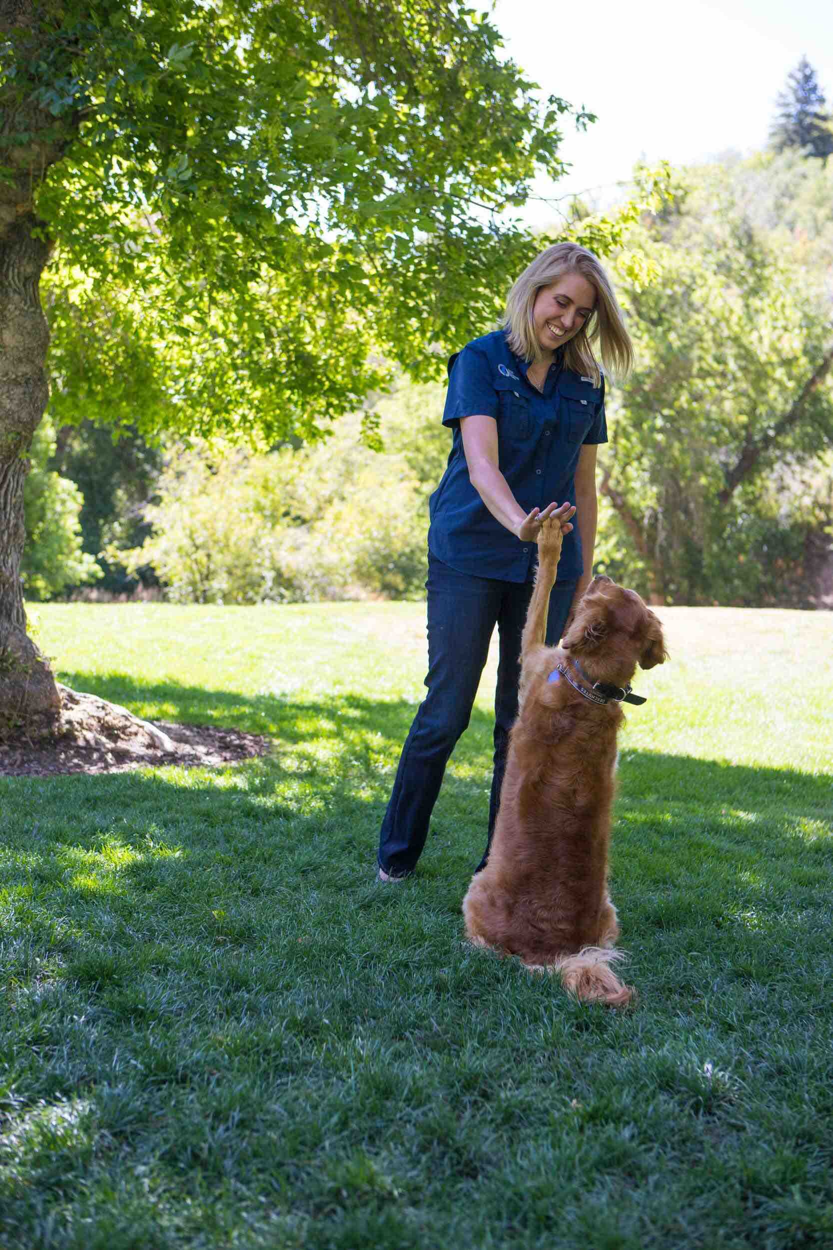 Dog Training Elite uses classical conditioning as one of their dog training techniques in Kansas City.