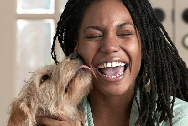 A woman laughing as her dog licks her face - contact Dog Training Elite in Mesa, AZ to discuss in-home training options for you.