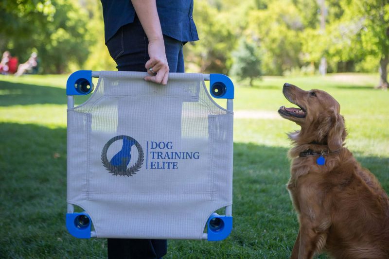 Dog Training Elite San Antonio offers professional dog obedience training near you in San Antonio.