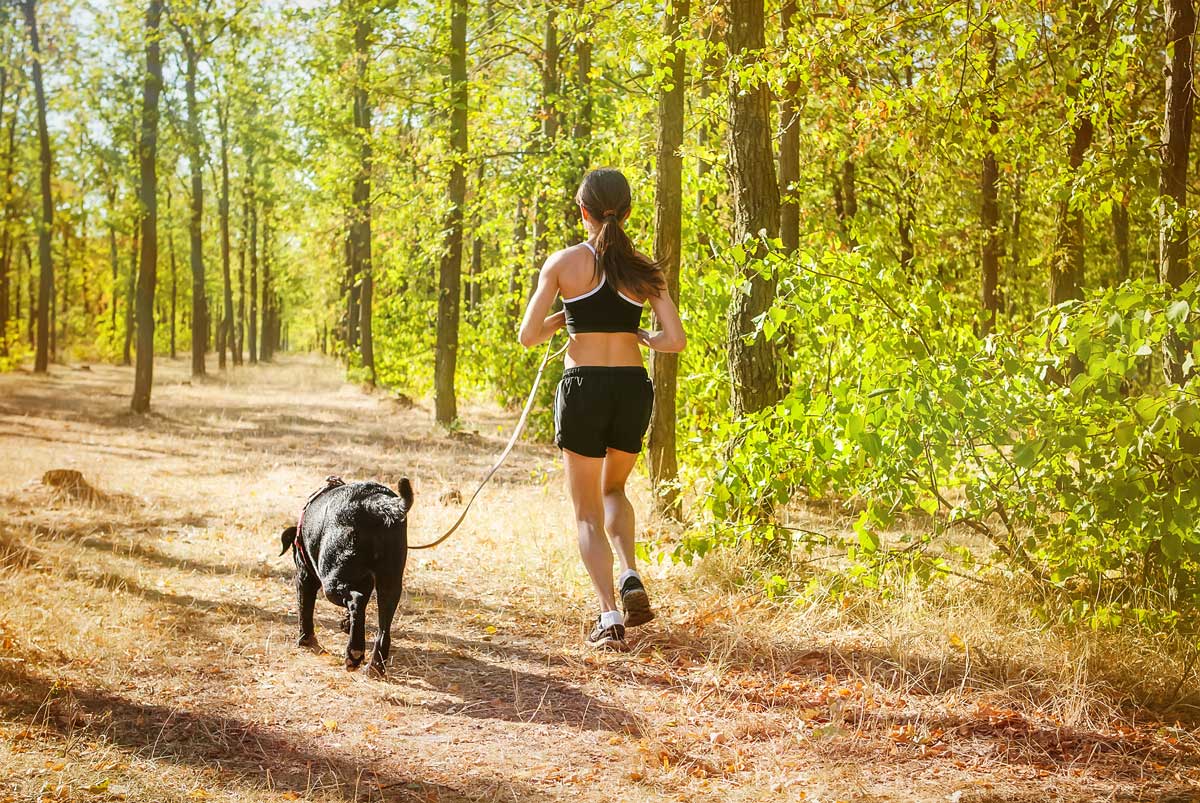 An owner and pup go for a safe, scenic run thanks to help from Dog Training Elite Denver's training.