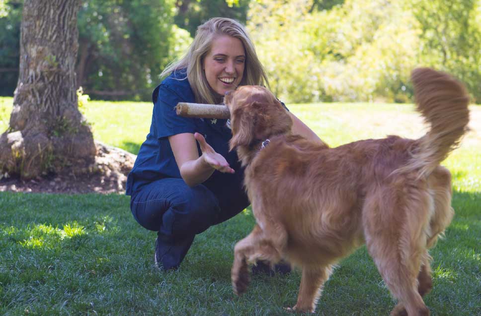 Top Dog Trainers in Utah County