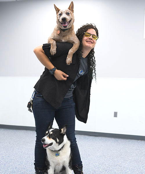 Azure. Dog Trainer in Phoenix