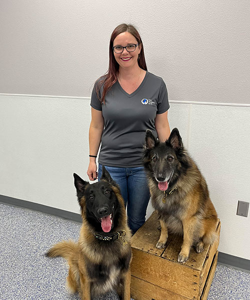Karen. Dog Trainer in Phoenix