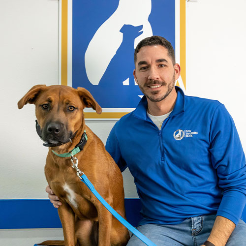 Taylor Newton. Dog Trainer in Philadelphia
