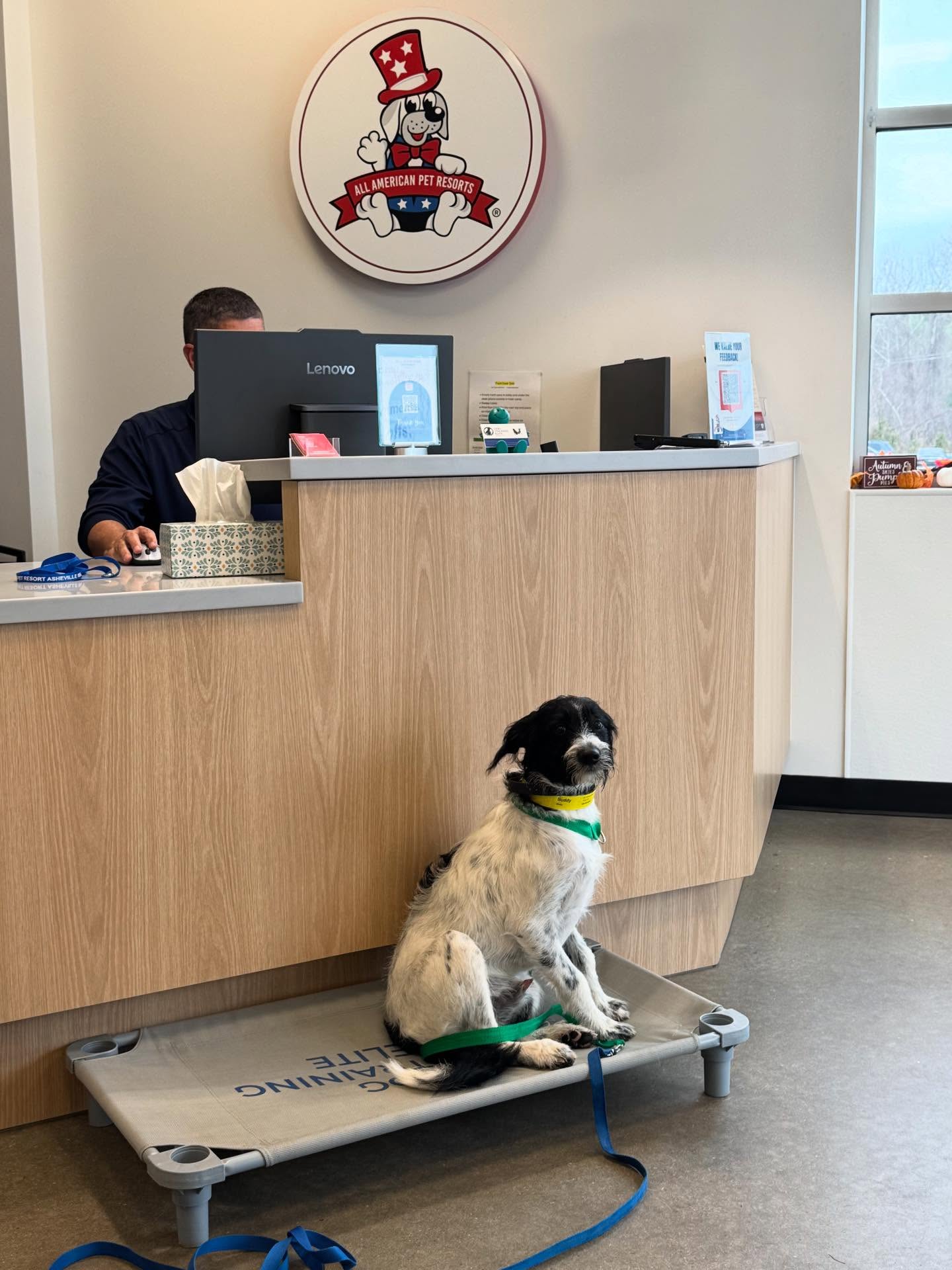 Buddy had a  daycare visit @aaprasheville and  even got some training in.




