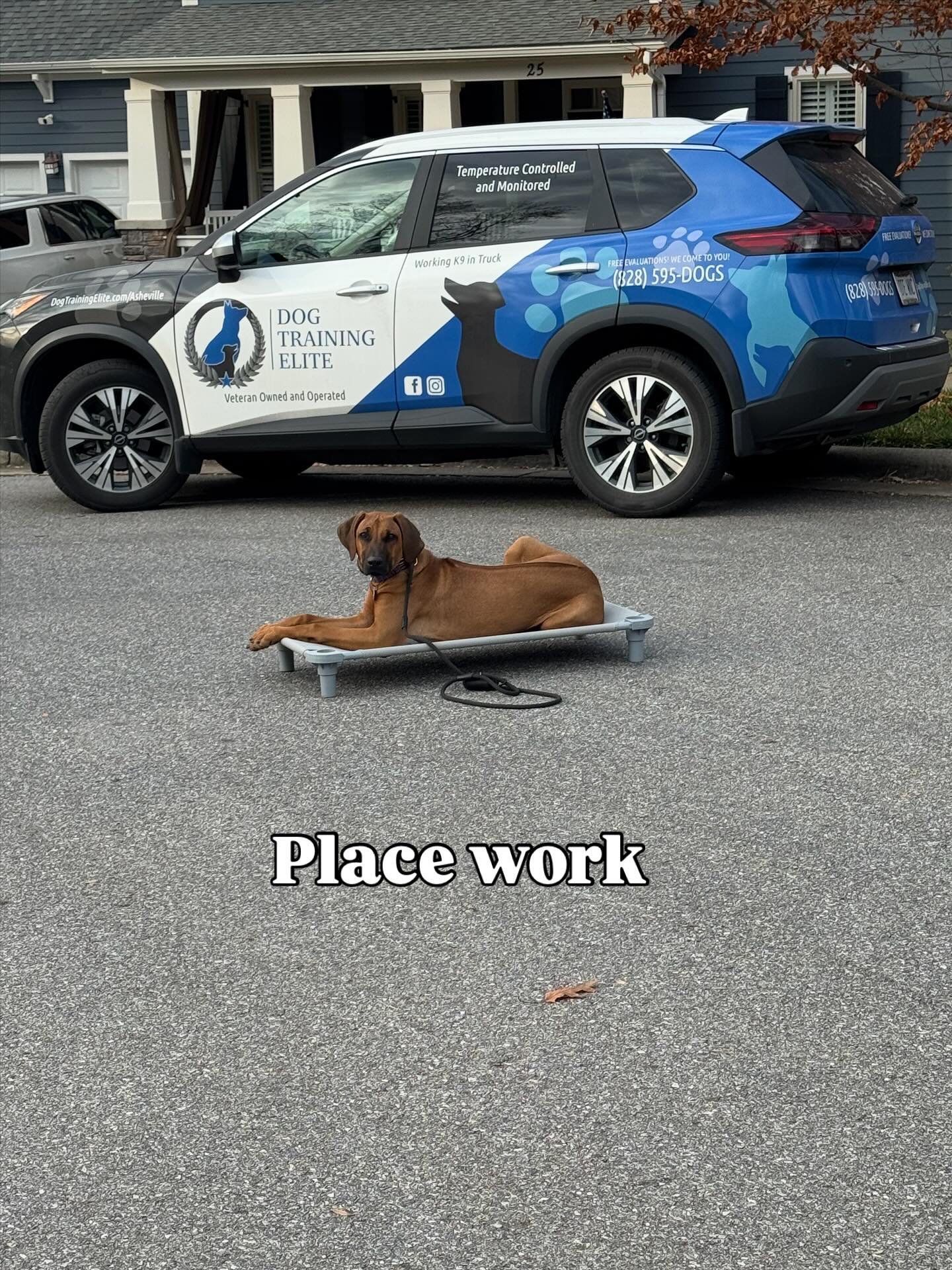 Kaya picked up the place concept quickly today. She’s been a superstar throughout her training.





