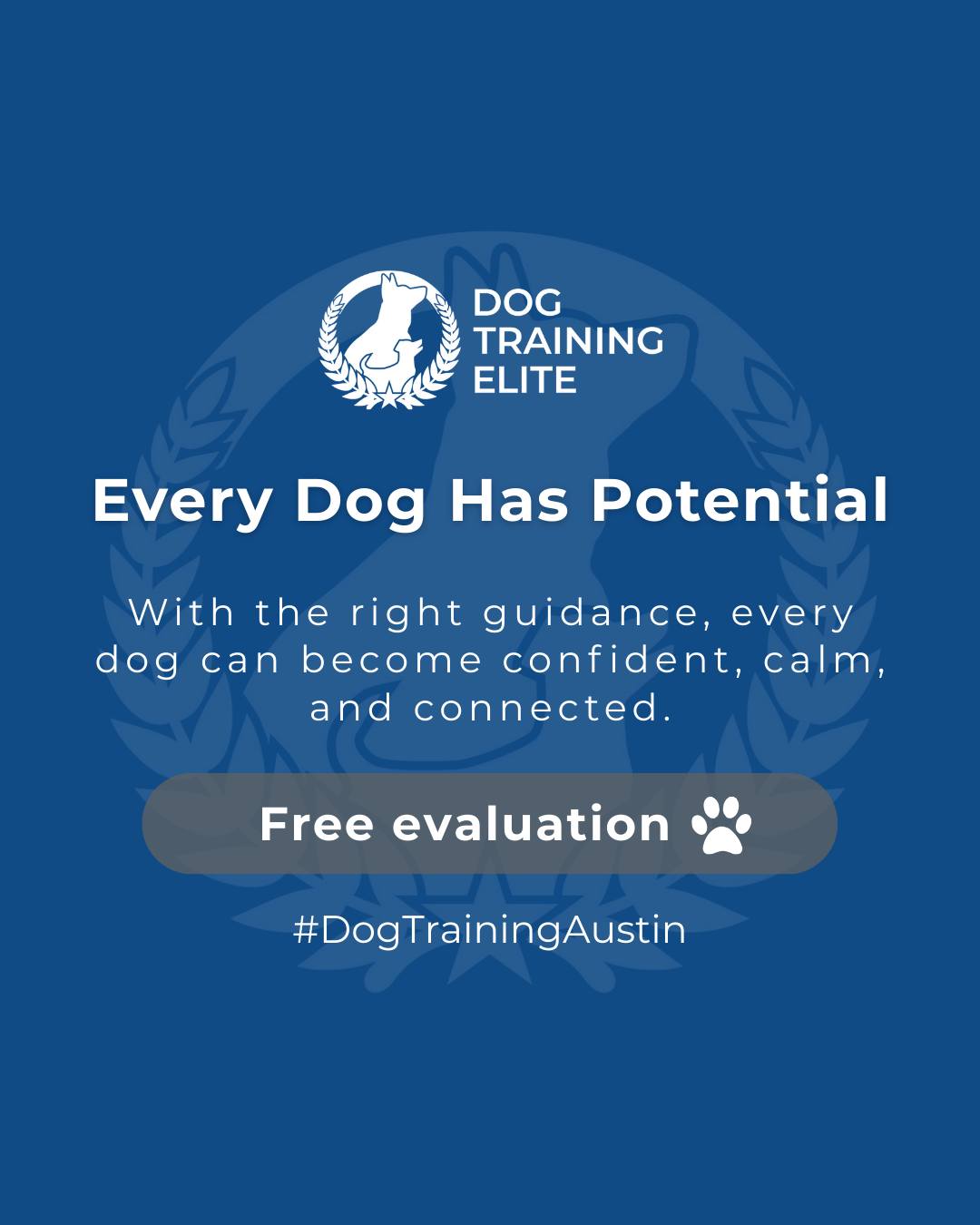 From puppy basics to advanced obedience and service training, every dog can learn to thrive with guidance from Dog Training Elite Austin, Round Rock, and Cedar Park. 

We help dogs build confidence, focus, and calm behavior, strengthening the bond between you and your best friend.

🎯 From basic obedience to advanced service dog training, Dog Training Elite Austin helps dogs near Round Rock build better behavior and stronger bonds this season. 🐾
 📍 https://maps.app.goo.gl/mzC5PCNAg2Btm23J9


