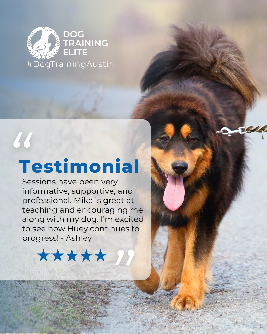 &ldquo;We have had three sessions with Mike and my dog Huey has made amazing progress. Sessions have been very informative, supportive, and professional. Mike is great at teaching and encouraging me along with my dog. I&rsquo;m excited to see how Huey continues to progress!&rdquo; - Ashley

There&rsquo;s nothing better than watching a dog, and their owner, gain confidence together. 🐾

Whether it&rsquo;s tackling leash reactivity, mastering obedience, or building trust in busy environments, we love seeing the transformation that happens through consistency and teamwork.
Every success story reminds us why we do what we do. ❤️

💬 Have a story to share about your training experience with Dog Training Elite Austin, Round Rock, or Cedar Park? We&rsquo;d love to hear it!

 🎯 From basic obedience to advanced service dog training, Dog Training Elite Austin helps dogs near Round Rock build better behavior and stronger bonds this season. 🐾
 📍 https://maps.app.goo.gl/mzC5PCNAg2Btm23J9


