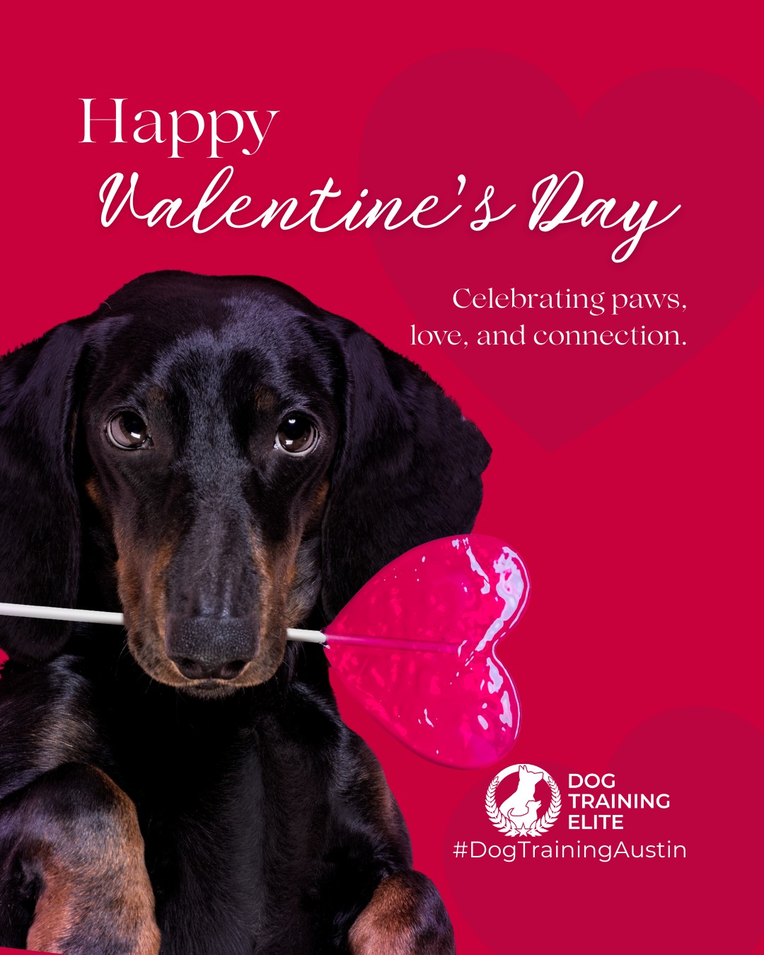 Love is in the air, and so is the joy of a well-trained dog! 💖

 This Valentine&rsquo;s Day, celebrate the bond with your furry Valentine. Whether it&rsquo;s teaching new tricks, mastering calm greetings, or simply spending quality time together, every moment strengthens your connection.
Training isn&rsquo;t just about obedience. It&rsquo;s about love, trust, and communication that lasts a lifetime.

Remember: no chocolates or human treats for your pups! Stick to dog-safe goodies. 🐶

Make better behavior your first win of the year. Book your free in-home evaluation and see why Austin and Round Rock dog owners choose Dog Training Elite for real, lasting results.
 📍 https://maps.app.goo.gl/mzC5PCNAg2Btm23J9



