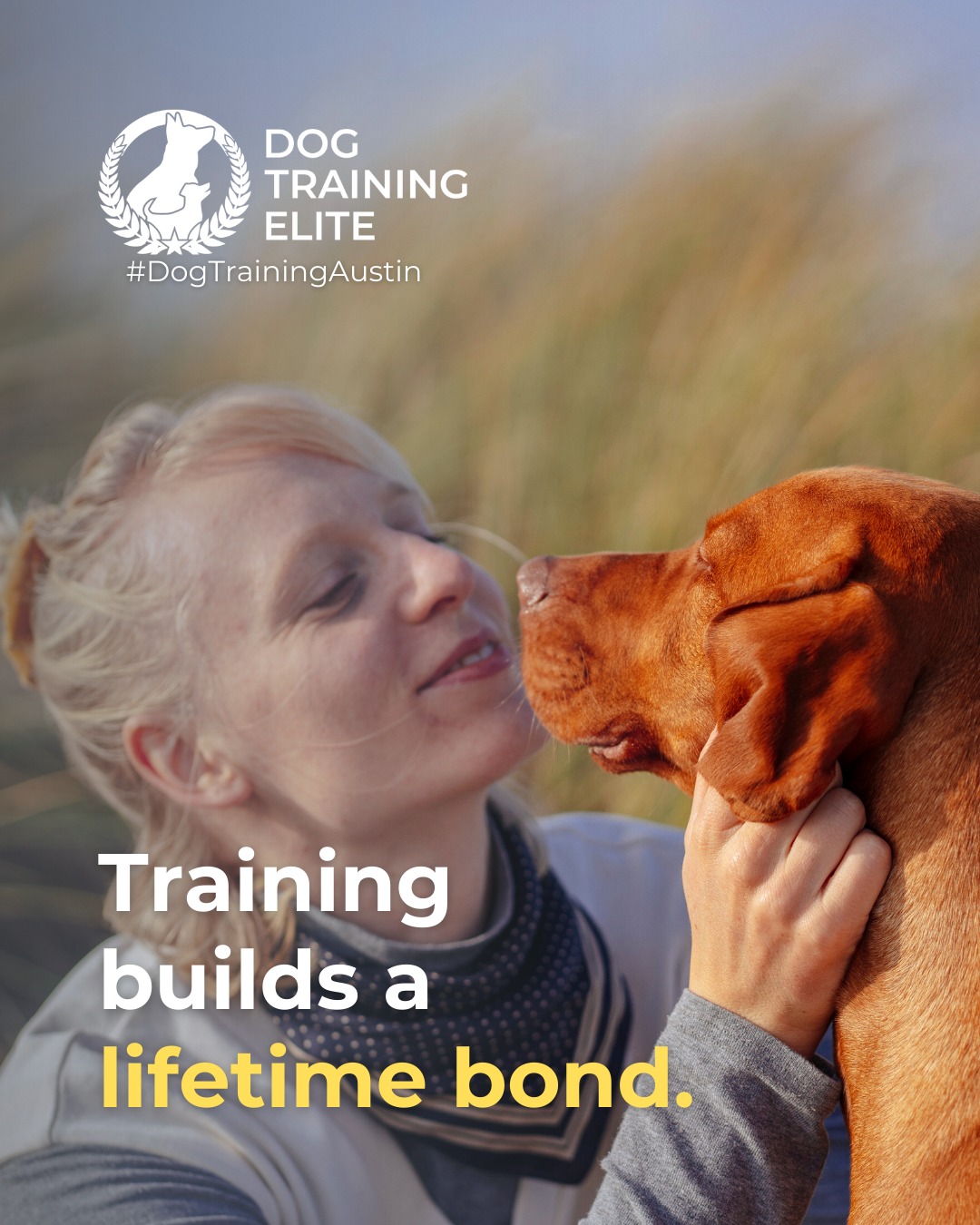 A trained dog is not just well behaved. They become more confident, secure, and connected to you. Whether you are starting obedience, setting up a new puppy for success, preparing a therapy hopeful, or joining group classes at Butler Shores at Town Lake, every session strengthens your relationship.

If you want clearer communication, better focus, and a more confident dog, our programs can help.

🐾 Warm up your winter with a well-trained pup. Schedule your free in-home evaluation and see why families in Austin, Round Rock, and surrounding areas trust Dog Training Elite for results that last through every season.
 📍 https://maps.app.goo.gl/mzC5PCNAg2Btm23J9



