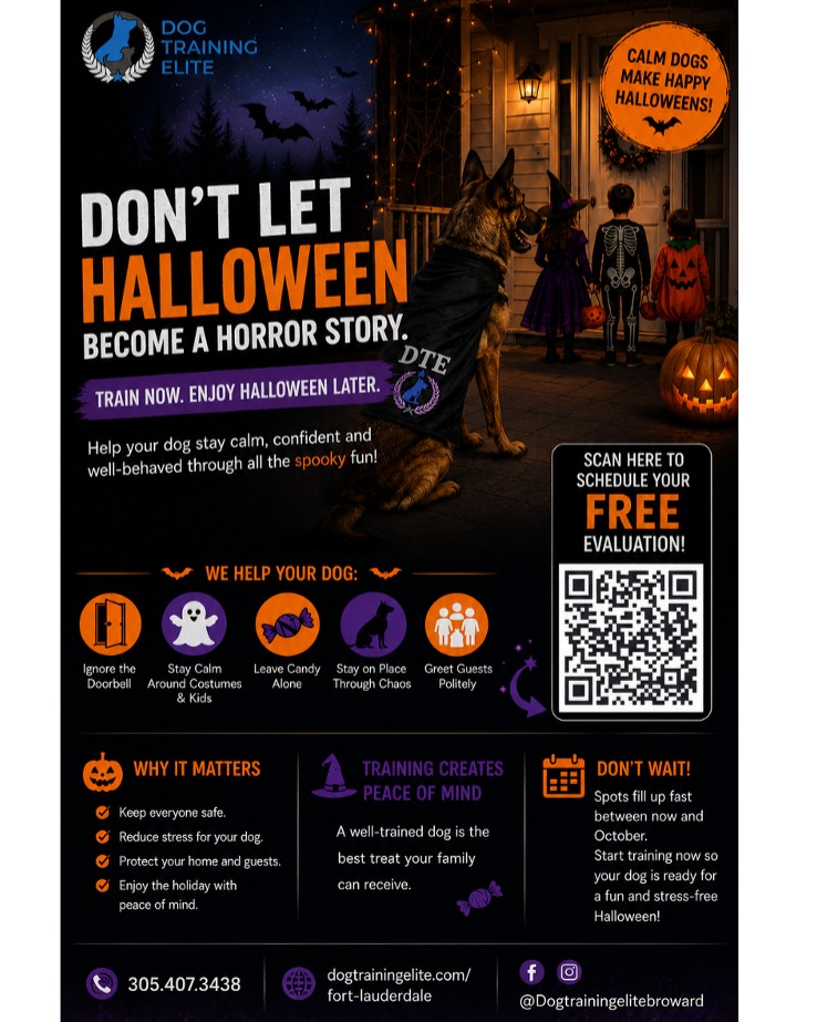 🎃🐾 Halloween is coming faster than you think... Is your dog ready? 👻

Costumes, spooky decorations, excited kids, and endless doorbells can be overwhelming for many dogs. With a little training and preparation, your pup can enjoy the festivities while staying calm, confident, and safe.

Start training now to enjoy your Halloween 2026 with your best friend !

Remember: A well-trained dog is a confident dog. 🧡

✨ Make this Halloween more treats than tricks!

