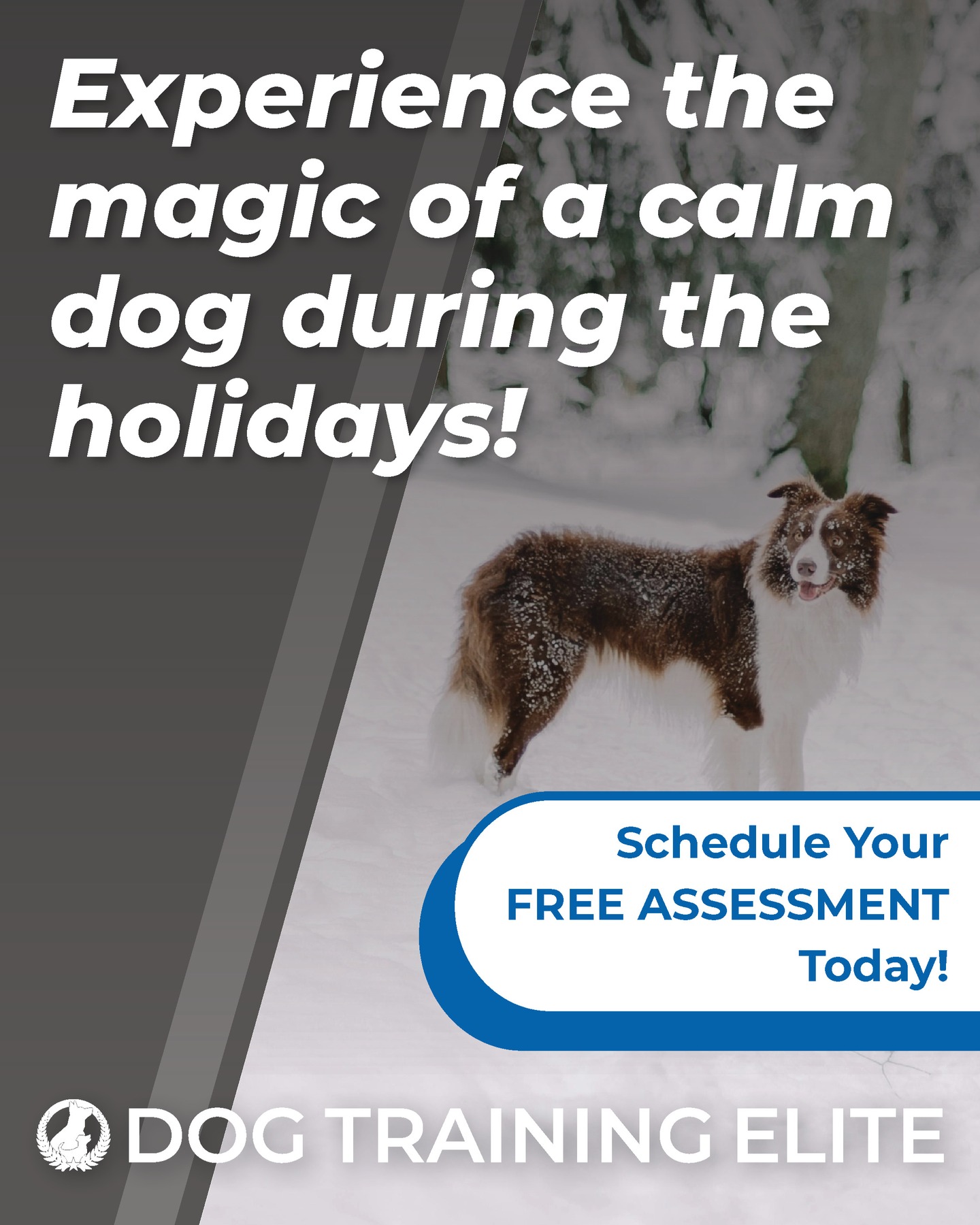 Christmas break is coming and you feel anxious because your dog is not behaving around people, or around other pets or outside the house ?

Treat yourself to a Christmas present !

Get yourself a well-behaved dog for 2026 😊

Schedule your free evaluation now !

DOG TRAINING ELITE BROWARD
☎+1 305.407.3438
📨Broward@dogtrainingelite.com
💻https://dogtrainingelite.com/fort-lauderdale

