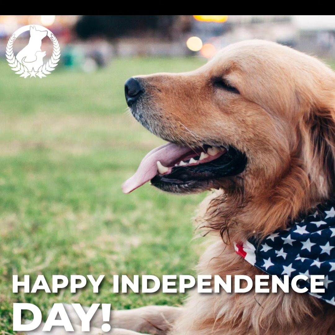 HAPPY INDEPENDANCE DAY ! 