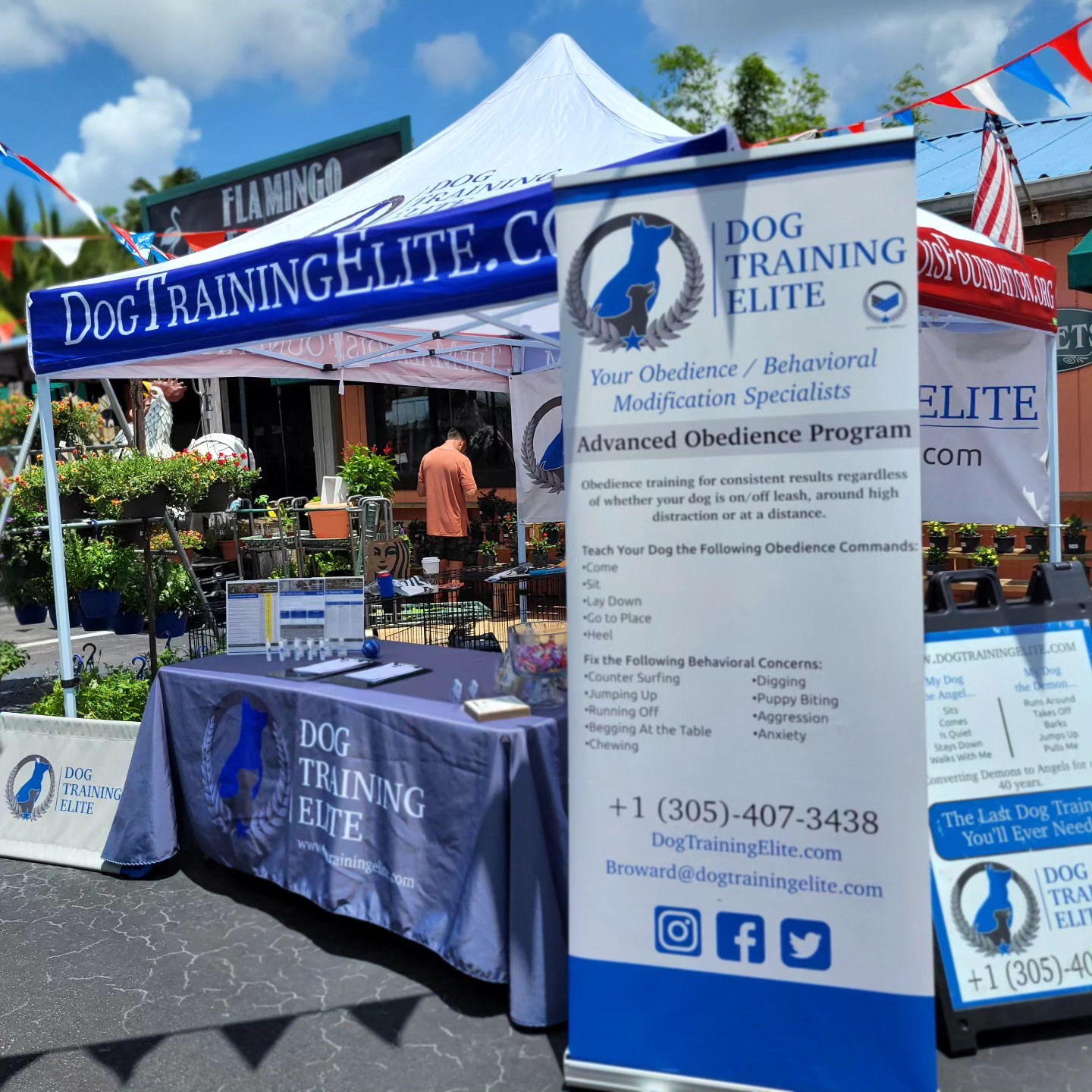 This weed-end you can see us at the Flamingo road nursery 1655 S Flamingo Rd, Davie, FL 33325 😊 county 