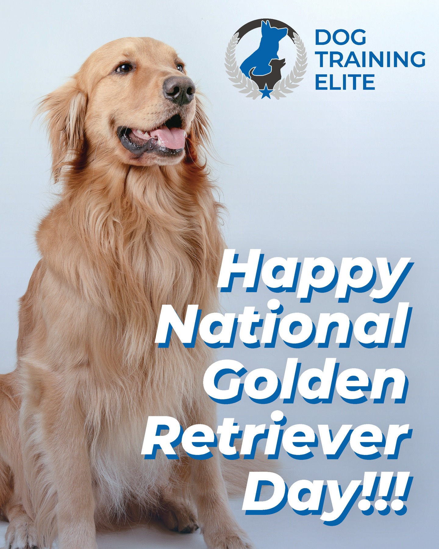 Happy National Day to all our Golden Retriever Students first, and also to all other Golden Retrievers.

We love you guys ❤️❤️❤️

