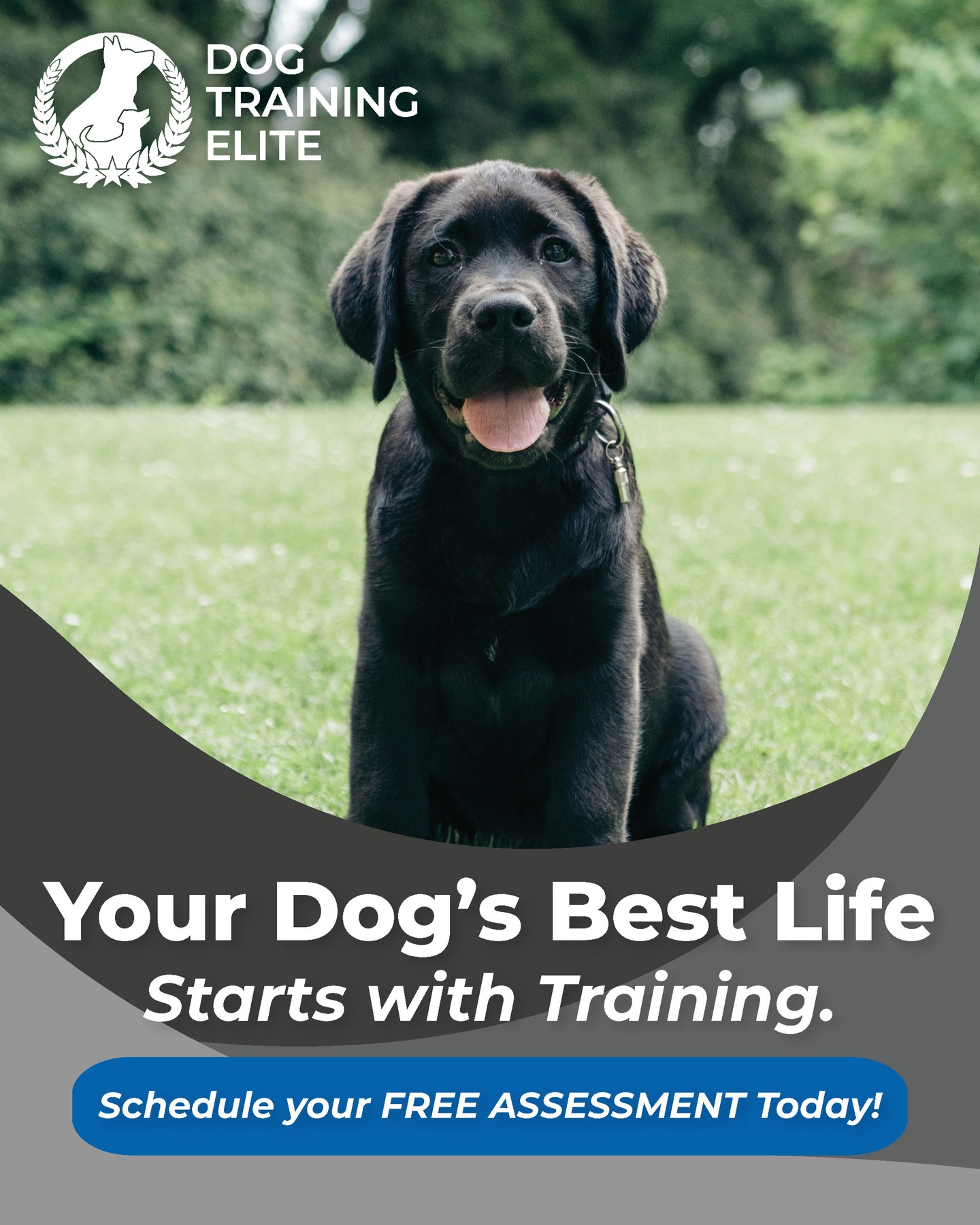 Train your Dog to live you best life with him/her !

And before you know, your Dog will be living his/her best life too ❤️

Schedule your free assessment now :

DOG TRAINING ELITE BROWARD
☎+1 305.407.3438
📨Broward@dogtrainingelite.com
💻https://dogtrainingelite.com/fort-lauderdale


