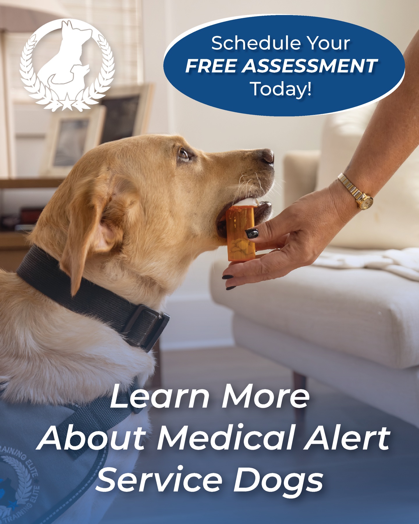 🚨 Medical Alert Service Dogs: More Than a Best Friend&mdash;A Lifesaving Partner 🐾❤️

Medical Alert Service Dogs are specially trained to detect subtle changes in their handler's body&mdash;often before the person is even aware something is wrong.

These incredible dogs can be trained to:
🐕 Alert to low or high blood sugar
❤️ Detect changes related to heart conditions
🧠 Warn of an oncoming seizure or migraine
🫁 Respond to medical emergencies by bringing medication, activating an alert system, or seeking help

Their work provides more than safety&mdash;it gives their handlers greater independence, confidence, and peace of mind.

Behind every successful medical alert team is hours of specialized training, trust, and an unbreakable bond.

At Dog Training Elite Broward, we're proud to help families build life-changing partnerships through professional service dog training.

💙 Every alert. Every response. Every day. Changing lives, one paw at a time.

📩 Contact us to learn more about our Service Dog Training programs.

