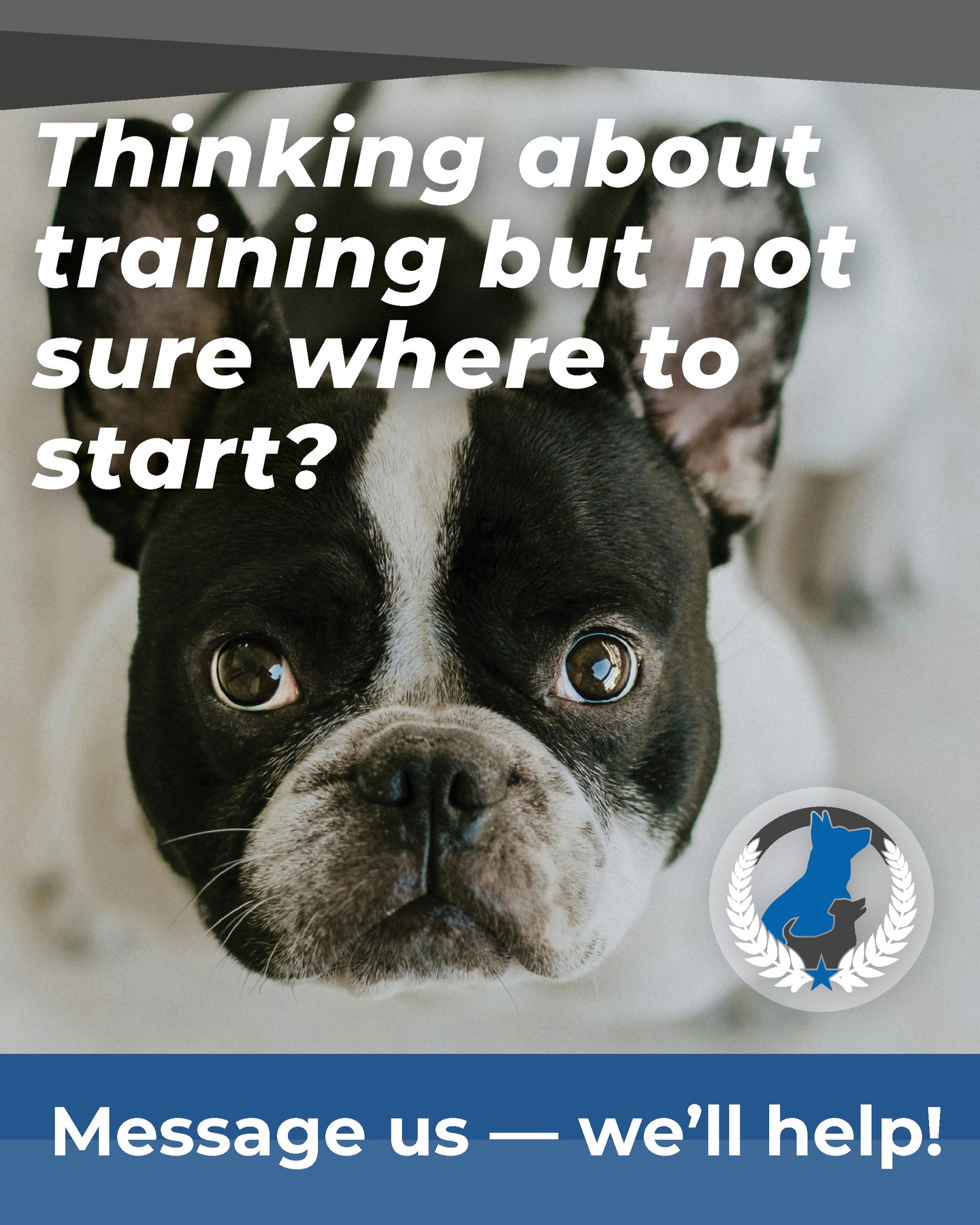 Schedule your free assessment now :

DOG TRAINING ELITE BROWARD
☎+1 305.407.3438
📨Broward@dogtrainingelite.com
💻https://dogtrainingelite.com/fort-lauderdale

