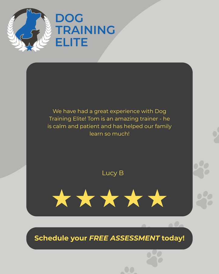 Lucy B&rsquo;s 5-star testimonial says it best: calm, patient coaching can make a real difference for you and your pup. If you&rsquo;re searching for dog training near me in Lexington, we offer clear steps that help with focus, leash manners, and everyday listening. We provide in-home dog training and private dog training lessons, so your dog can learn in the places you need the most help. Want practice around other dogs and people too? Ask about group dog training classes that build real-world manners. Dog Training Elite Lexington also offers service dog training for families in Lexington, Richmond, and Georgetown who need task-based support and dependable obedience. http://www.dogtrainingelite.com/lexington