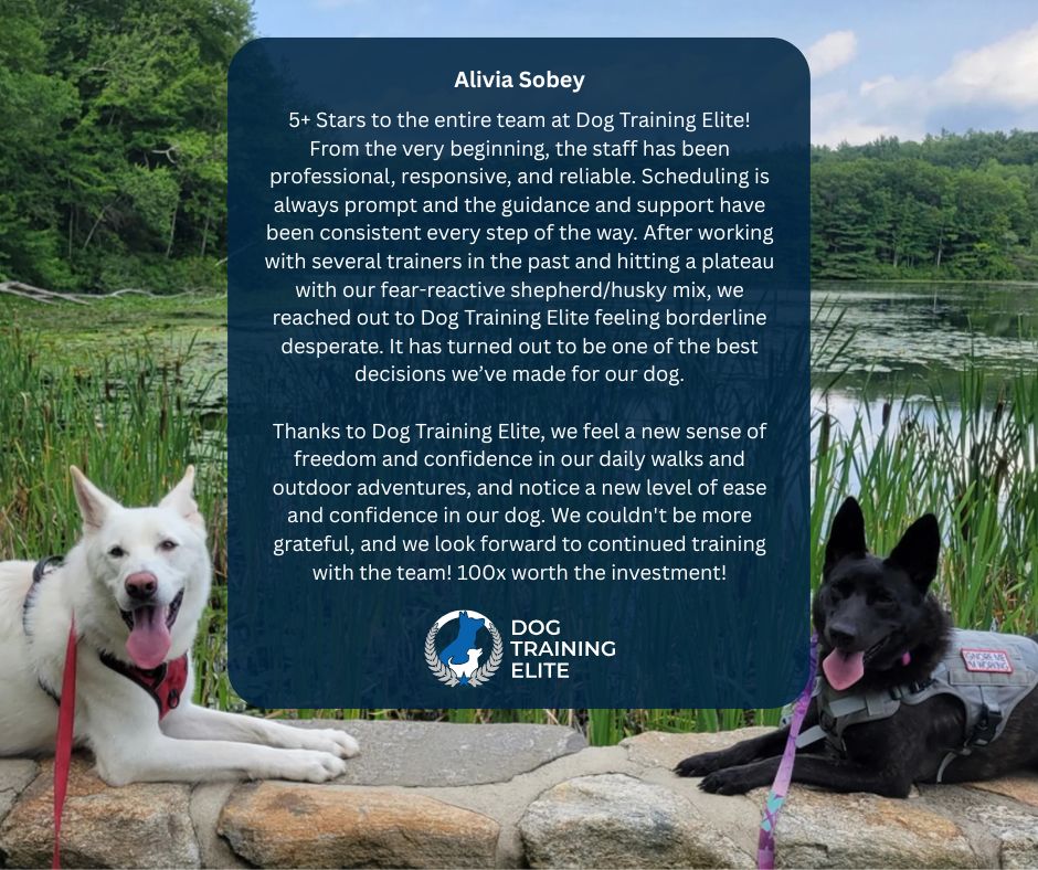 Struggling with reactivity? You&rsquo;re not alone. 🐕💥

After hitting a plateau, Alivia turned to us for help with her fear-reactive shepherd/husky mix&mdash;and it turned out to be one of the best decisions she&rsquo;s made. 🙌💯

✅ Real progress with people + dog reactivity
✅ Confidence-building skills
✅ Team that gets working breeds

✨ &ldquo;Training finally feels fun again (for all of us)!&rdquo;

DM us to start your dog&rsquo;s transformation!

📍 