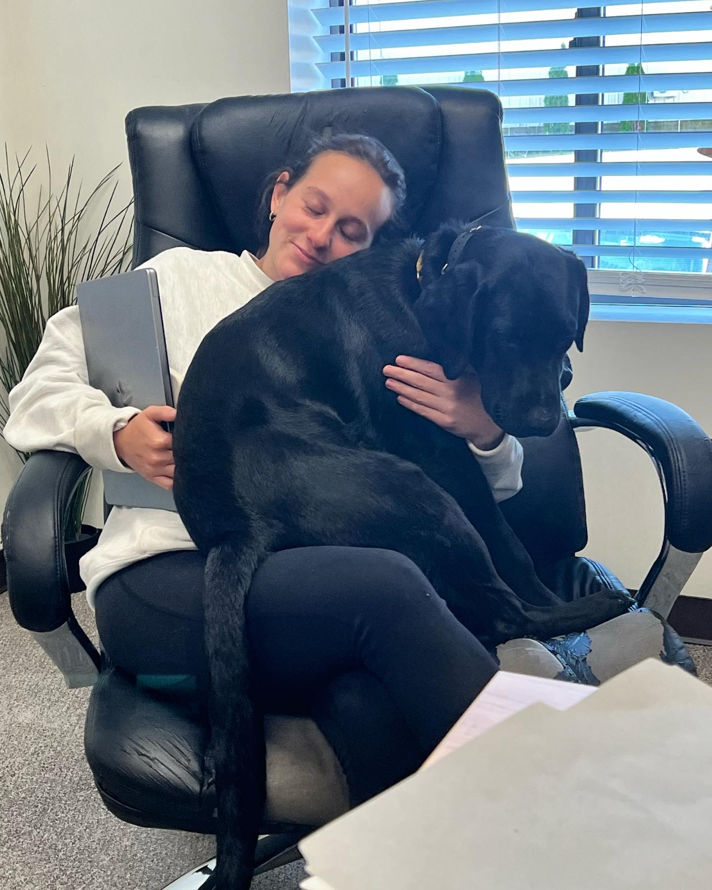 Happy Monday! Hope you get to cuddle with a dog at the office today 🐶💙
