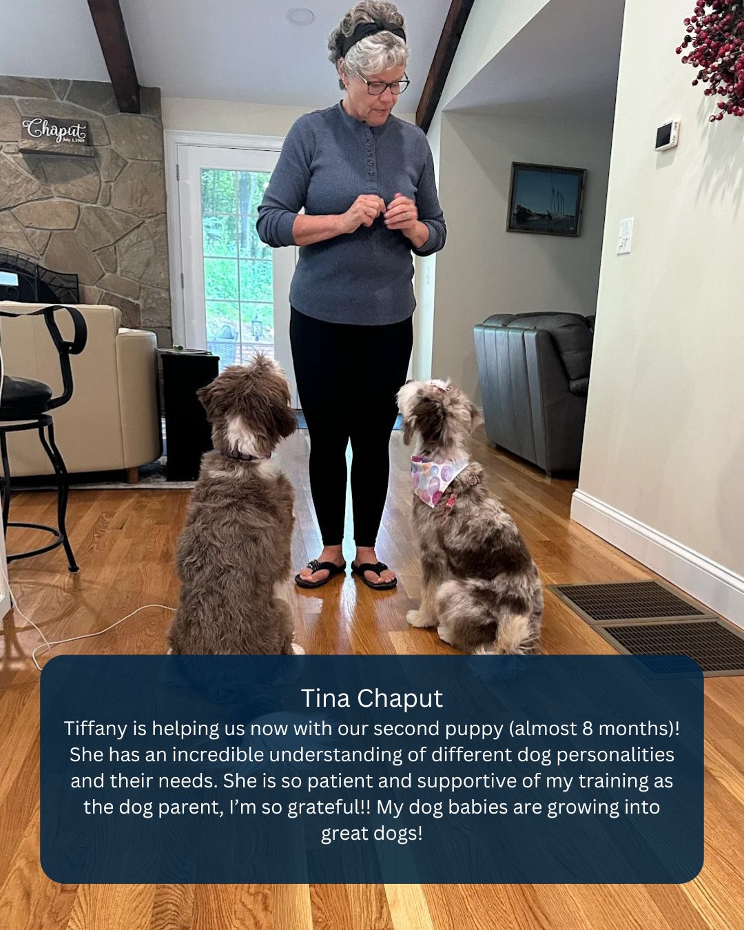 Eloise & Phoebe = ⭐️⭐️⭐️⭐️⭐️ dogs in training 🐶🐾
Tina = total rockstar 💪
Tiffany = trainer goals 🙌

We&rsquo;re obsessed with watching dogs (and their people) thrive, especially when the teamwork is this good. 🫶

If you&rsquo;ve got a puppy and want real results, follow us for more success stories like this, and let&rsquo;s start yours next. 💥

📍 DM us to book your first session!

