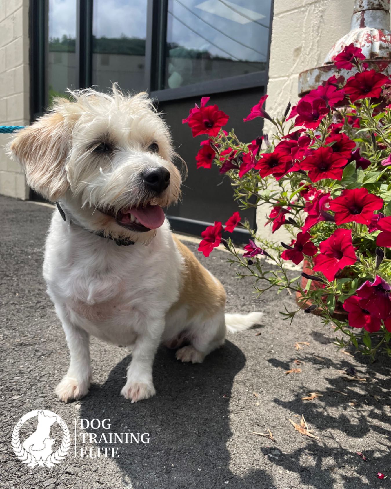 It was a joy to work with squirt and help her build up her confidence🌸