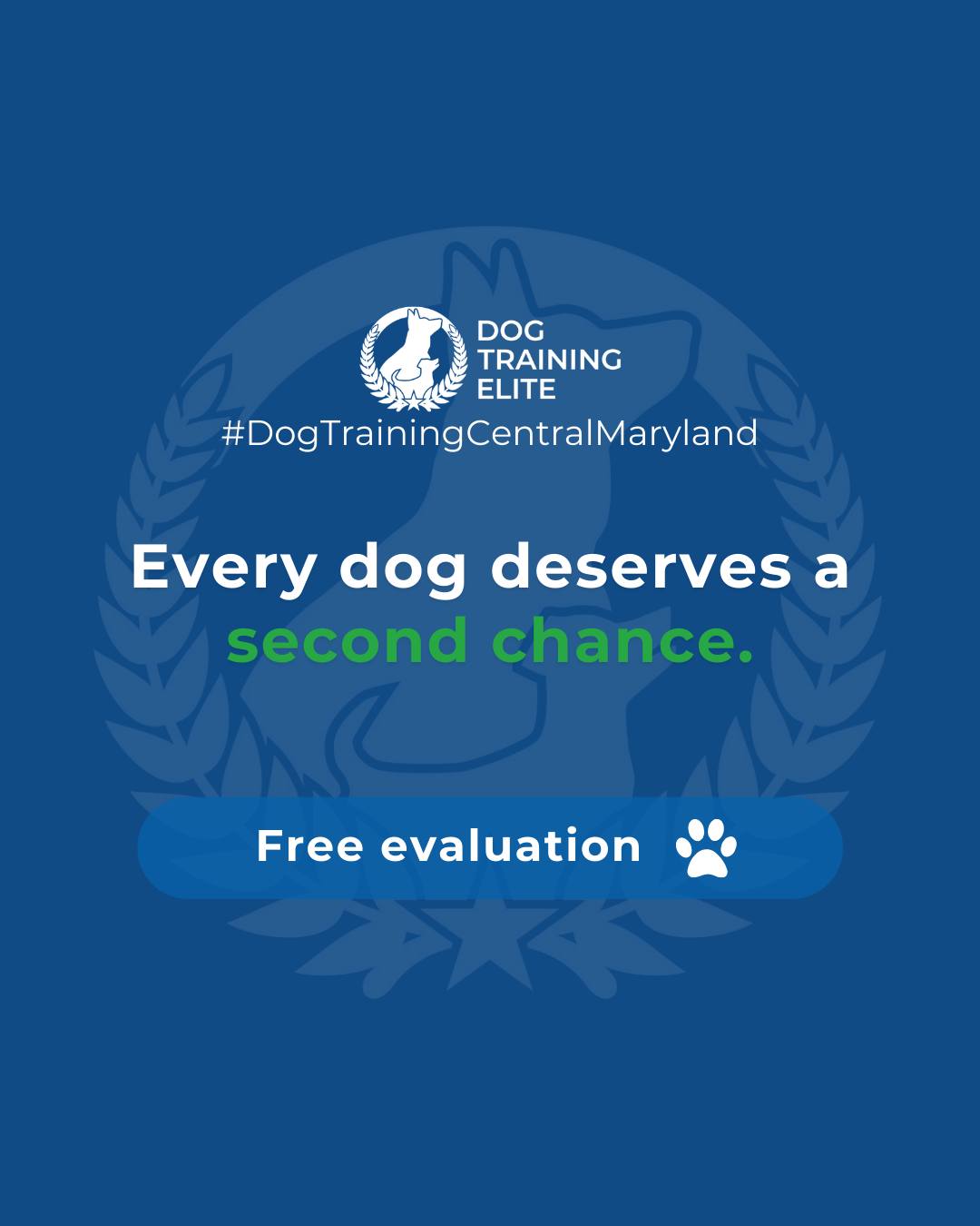 Fearful or reactive behaviors in dogs don&rsquo;t have to define their future. With patience, consistent structure, and professional guidance, dogs can learn to manage their triggers, build confidence, and respond calmly in challenging situations.

Our anxiety and reactivity programs focus on understanding the root causes of fear and aggression. By using controlled exposure, rewarding calm responses, and teaching owners effective handling techniques, dogs gain the skills they need to thrive.

Every dog has the potential to become a reliable, confident, and loving companion when given the right support. Start helping your dog today and watch them transform into the best version of themselves.

👉 Whether it&rsquo;s leash manners, obedience, or service training, Dog Training Elite Central Maryland offers personalized programs near Ellicott City and Annapolis, helping dogs shine all winter long. Cozy season, confident pups. ✨
📍 https://maps.app.goo.gl/9YmD89xhkqBNA2Xy5


