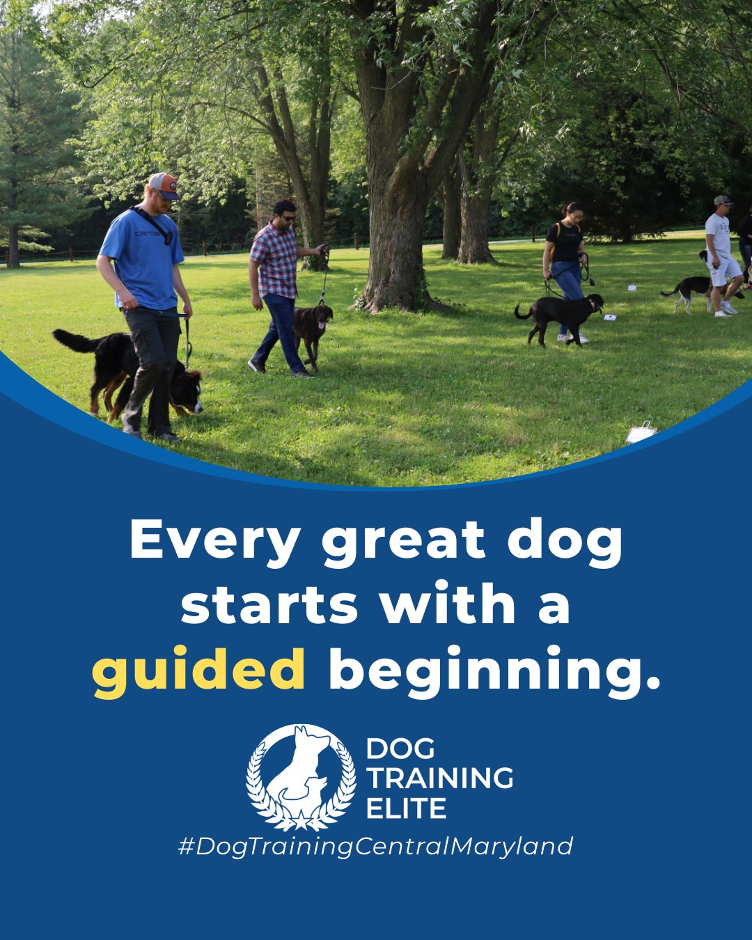 Puppyhood is a critical learning stage. During these early months, dogs develop the skills that shape how they respond to people, environments, and new experiences for life.

Clear guidance and consistent training help puppies build trust, confidence, and reliable communication. Early structure teaches them how to stay calm, focus, and adapt, making everyday situations easier as they grow. The foundation built now influences behavior well into adulthood.

 🎯Warm up your winter with a well-trained pup. Schedule your free in-home evaluation and see why families in Annapolis, Columbia, and surrounding areas trust Dog Training Elite for results that last through every season.
 📍 https://maps.app.goo.gl/9YmD89xhkqBNA2Xy5


