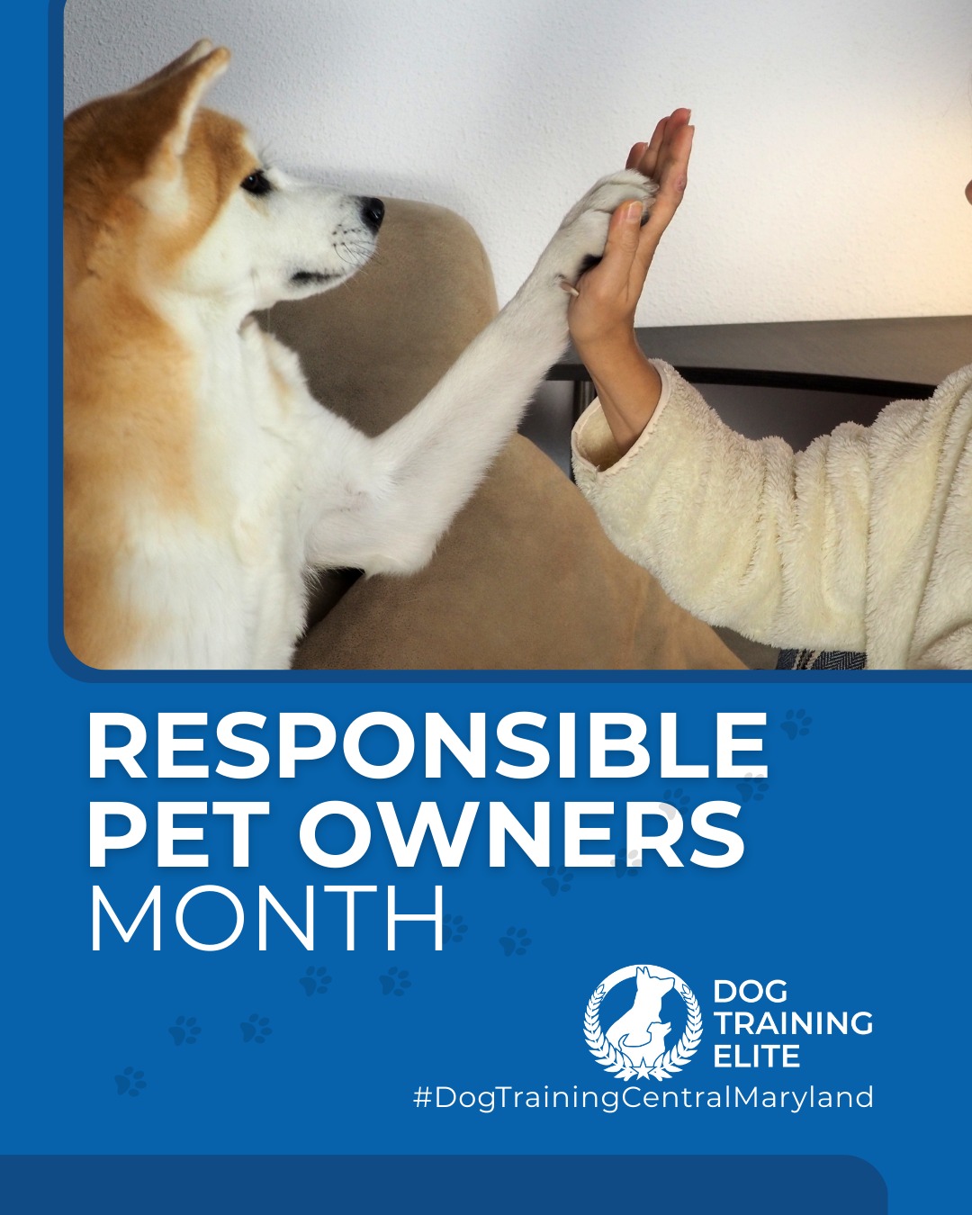 This February, we're celebrating Responsible Pet Owners Month! 🎉 Responsible pet ownership means providing proper training, care, and a loving home. 

What's one responsible pet owner tip you live by? Share below! And if training is on your list, Dog Training Elite Central Maryland is here to help. 

 From basic obedience to advanced service dog training, Dog Training Elite Central Maryland helps dogs near Annapolis build better behavior and stronger bonds this season. 🐾
 📍https://maps.app.goo.gl/9YmD89xhkqBNA2Xy5



