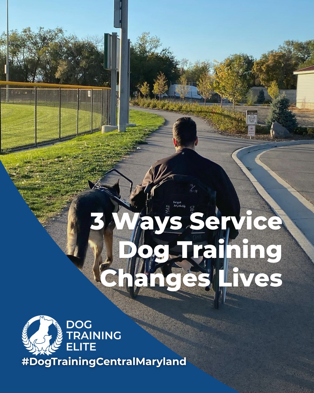 Service dogs are trained to do more than follow cues. They provide reliable support in moments that matter most. Proper service dog training focuses on calm behavior, advanced task work, and strong handler communication in real-world environments.

Service dog training may support individuals who:
 🐾 Live with PTSD, anxiety, or depression, including veterans and civilians
 🐾 Are on the autism spectrum and benefit from structured, task-oriented support
 🐾 Have epilepsy and require alert or response-based behaviors
Participating locations also offer advanced medical training for qualifying teams. 

Every service dog program is customized to the needs of the handler and the responsibilities required of the dog.
Service dog training is about trust, consistency, and life-changing partnership.

 🦮From basic obedience to advanced service dog training, Dog Training Elite Central Maryland helps dogs near Annapolis build better behavior and stronger bonds this season. 🐾
📍 https://maps.app.goo.gl/9YmD89xhkqBNA2Xy5


