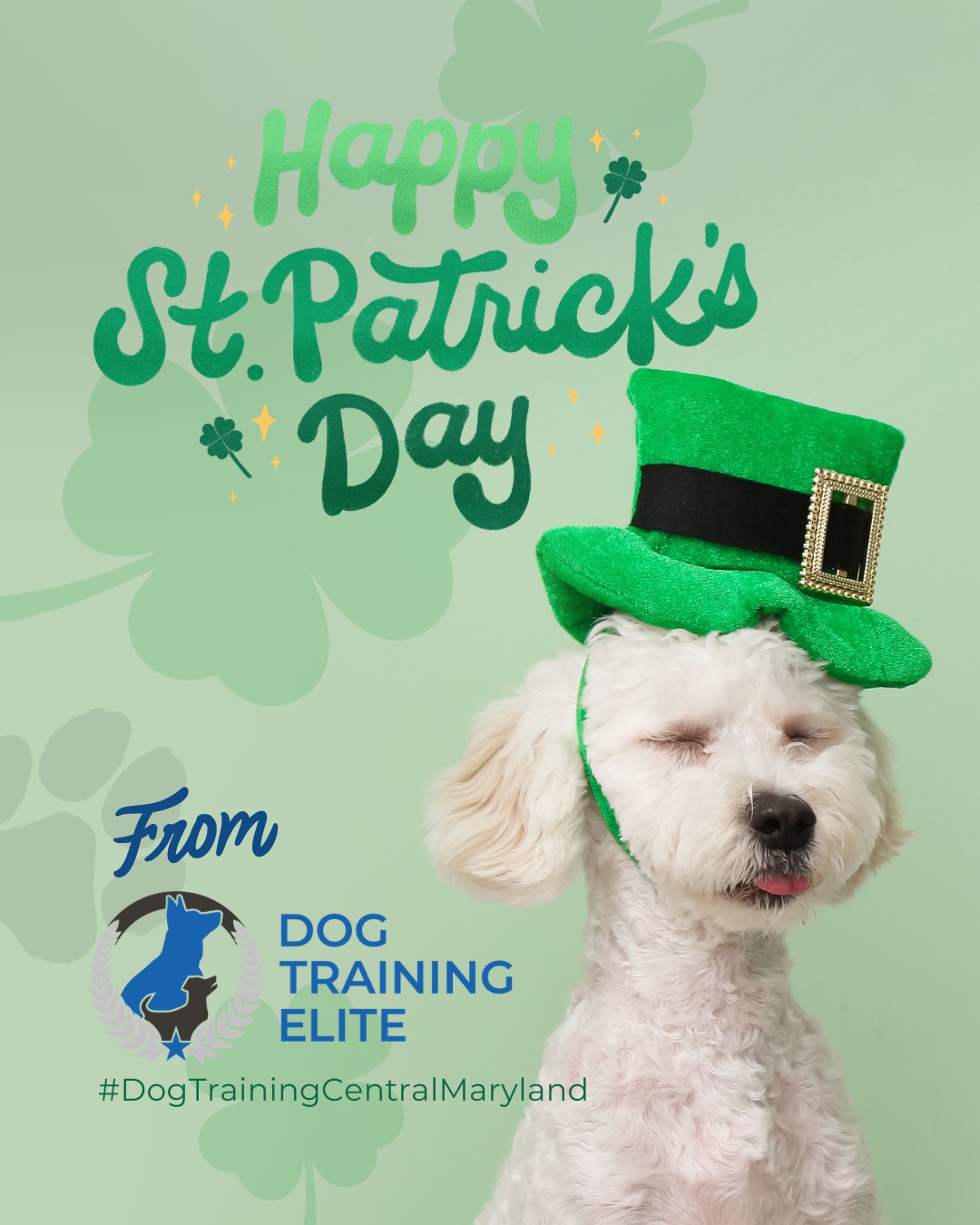 Our clients & their pups always make us feel the luckiest 🍀 

From DTE we want to wish you a St. Patrick&rsquo;s Day filled with extra playtime, confidence-building games, and fun training challenges. A little luck goes a long way when you&rsquo;re strengthening focus, calm behavior, and your bond. Show your dog some love and let them shine today!

🎯 Warm up your winter with a well-trained pup. Schedule your free in-home evaluation and see why families in Annapolis, Columbia, and surrounding areas trust Dog Training Elite for results that last through every season.
📍 https://maps.app.goo.gl/9YmD89xhkqBNA2Xy5



 