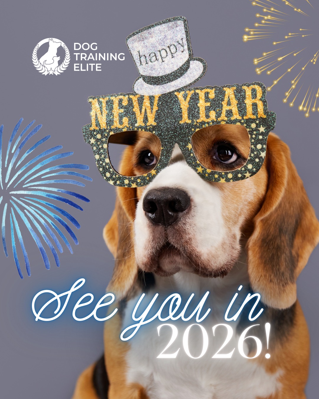 From Dog Training Elite Central Maryland, we want to wish you a Happy New Year! 🐾 We are so thankful for everyone who trusted us with their pups this last year!

If your New Year&rsquo;s resolution is to have better communication with your dog, you&rsquo;re in the right place! Consistency, patience, and clear cues are the keys to transforming your dog&rsquo;s behavior this year. Set realistic goals: 5&ndash;10 minute daily training sessions can make a huge difference. 

 🎉From basic obedience to advanced service dog training, Dog Training Elite Central Maryland helps dogs near Annapolis build better behavior and stronger bonds this season. 🐾
 📍https://maps.app.goo.gl/9YmD89xhkqBNA2Xy5


