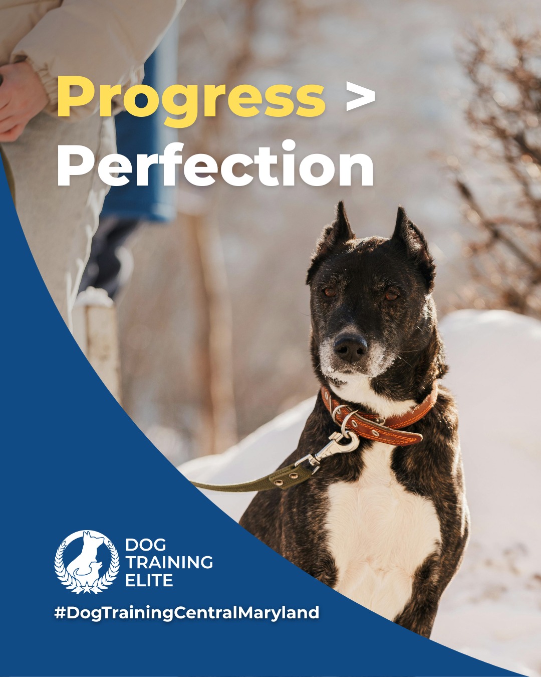 Building a confident, reliable dog takes time, consistency, and the right guidance. Balanced training focuses on structured exercises, clear expectations, and balanced reinforcement to help dogs of all ages learn essential skills.

Each small improvement, whether at Annapolis parks, Columbia streets, or Ellicott City neighborhoods, adds up to long-term success for both dog and owner.

🎁 Ready to unwrap the gift of a well-behaved dog? Schedule your free in-home evaluation and discover why Annapolis Historic District and Wilde Lake families rely on Dog Training Elite, through the holidays and beyond.
 📍 https://maps.app.goo.gl/9YmD89xhkqBNA2Xy5

 
