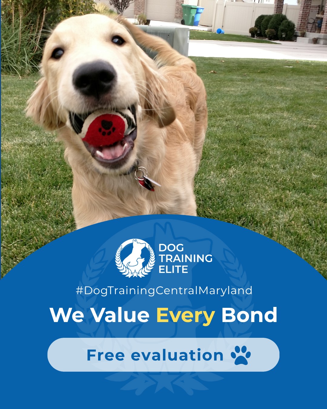 Is your dog really telling you how they feel? Every dog-owner relationship is unique. Training with Christy, Sean & Taylor at Dog Training Elite Central Maryland builds communication, focus, and trust, whether you&rsquo;re working on obedience, therapy, or service skills. Learning to read your dog&rsquo;s signals strengthens your bond and helps them thrive in every situation.

 Warm up your winter with a well-trained pup. Schedule your free in-home evaluation and see why families in Annapolis, Columbia, and surrounding areas trust Dog Training Elite for results that last through every season.
📍 https://maps.app.goo.gl/9YmD89xhkqBNA2Xy5


