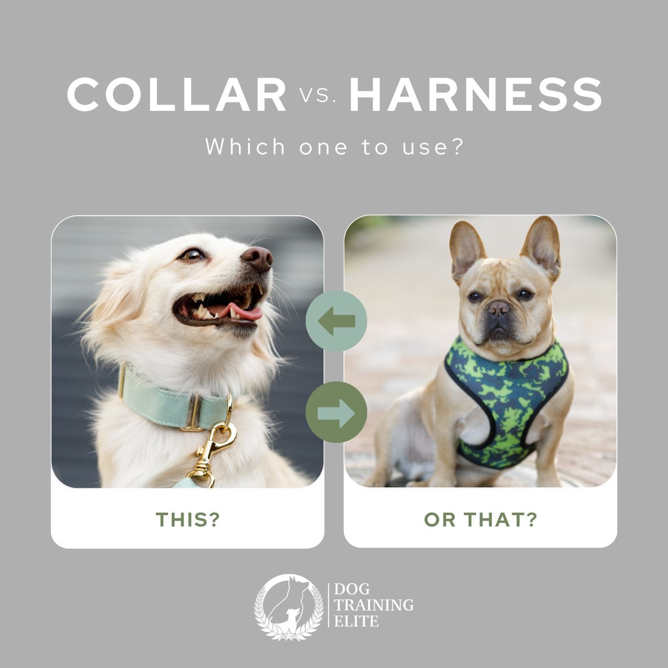 When it comes to walking our dogs, choosing the right equipment is crucial for their safety and comfort. Let's weigh the pros and cons of both options:

Dog Harness:

1. Safety first! Harnesses distribute pressure evenly across the chest, reducing strain on your dog's neck and throat. This is especially important for small breeds, brachycephalic dogs, and those with respiratory issues.
2. Improved control: Harnesses offer better control over your dog's movements, making it easier to guide them during walks.
3. Added security: Some harnesses come with reflective straps or built-in handles, which increase visibility and allow for quick restraint when needed.

Dog Collar:

1. Simplicity and convenience: Collars are quick to put on and remove, making them suitable for dogs who are already well-behaved on walks.
2. ID tags and licenses: Collars provide a convenient place to attach identification tags, making it easier to identify your pup if they ever get lost.
3. Suitable for short-haired dogs: Collars don't interfere with a dog's natural movement and can be more comfortable for breeds with short coats.

Remember, every dog is unique, and their specific needs should be considered. Never tolerate pulling on a leash no matter what device you use! Call Dog Training Elite Central Maryland today for help if your walks aren't exactly enjoyable. !
Share your thoughts and experiences in the comments below!
