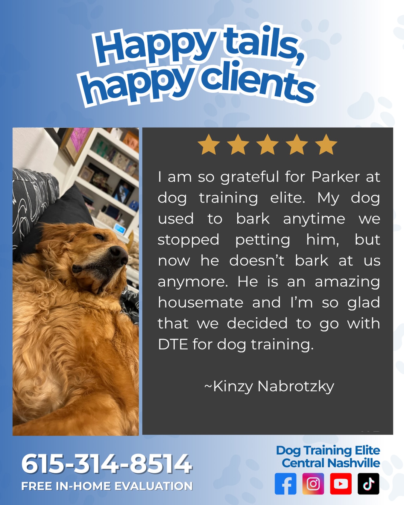 From barking for attention to becoming the perfect housemate 👏🐶

We&rsquo;re so proud of this sweet pup and so thankful for the trust our clients place in Parker and the Dog Training Elite team 💙

A calmer home, better communication, and a dog you can truly enjoy living with. That&rsquo;s what training can do.

Want this kind of transformation for your dog too?
📞 Call 615-314-8514 to schedule your FREE ASSESSMENT today!

