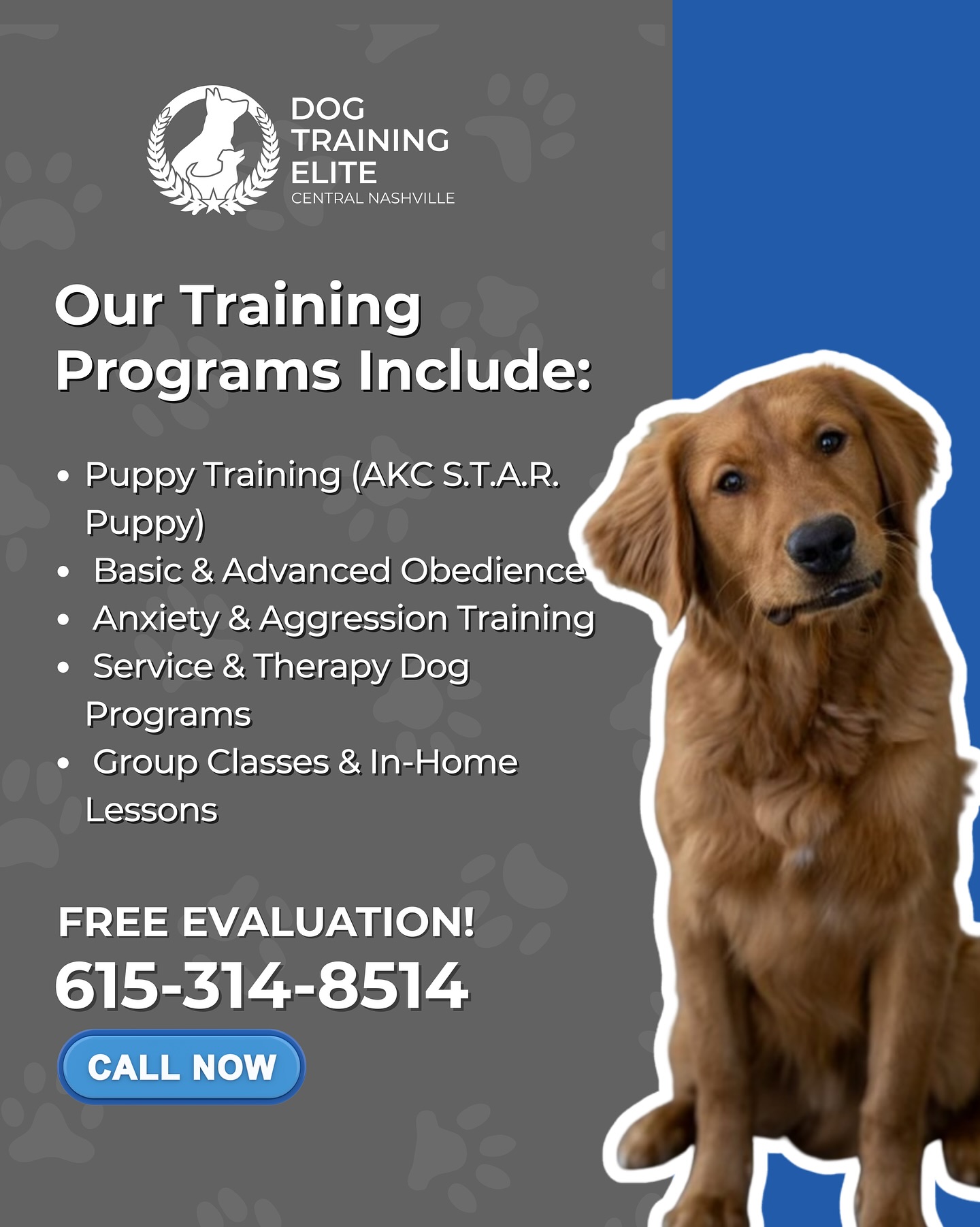 At Dog Training Elite Central Nashville, we tailor every program to your dog’s personality and your goals. Whether you want to fix leash pulling, calm anxiety, or prepare for service work, we’re here to help you every step of the way.

Because every dog deserves a chance to be their best; confident, calm, and obedient wherever they go.

📞 Call us today at 615-314-8514 to schedule your FREE in-home evaluation!
📍 Serving Nashville, Franklin, Murfreesboro, and surrounding areas
🌐 dogtrainingelite.com/nashville

