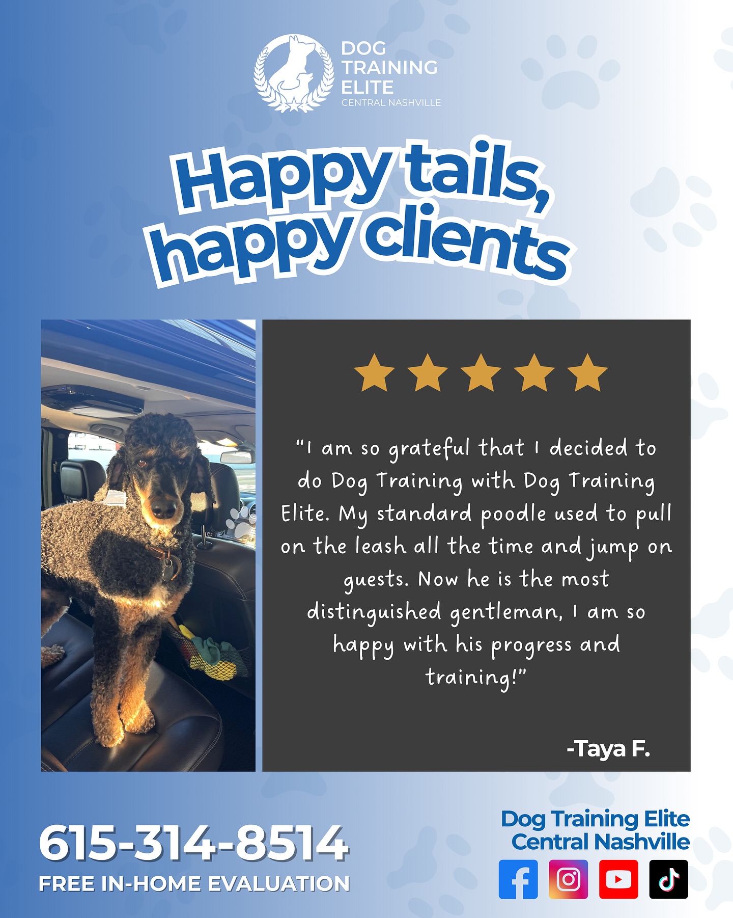 From wild to well-mannered! 💙
We’re so proud of this handsome gentleman and his amazing progress. Thank you, Taya, for trusting Dog Training Elite Central Nashville to help your poodle become calm, confident, and polite on every walk and greeting.

Ready to enjoy peaceful walks and better behavior too? Let’s get started today!
📞 615-314-8514

