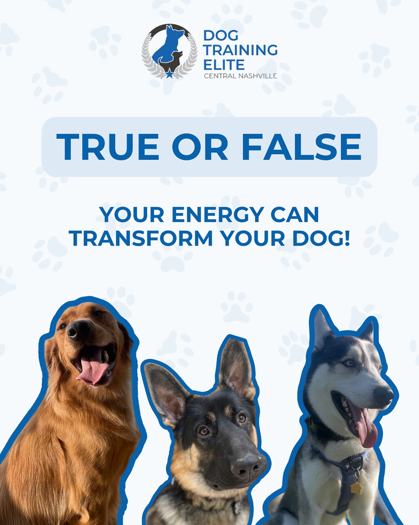 TRUE ✅ Your energy can transform your dog!

Dogs feel what you feel. If you stay calm, confident, and consistent, your dog learns to trust and follow your lead. Training starts with your energy, not just the commands 🐾

📞 Call us today at 615-314-8514 for your FREE evaluation!

