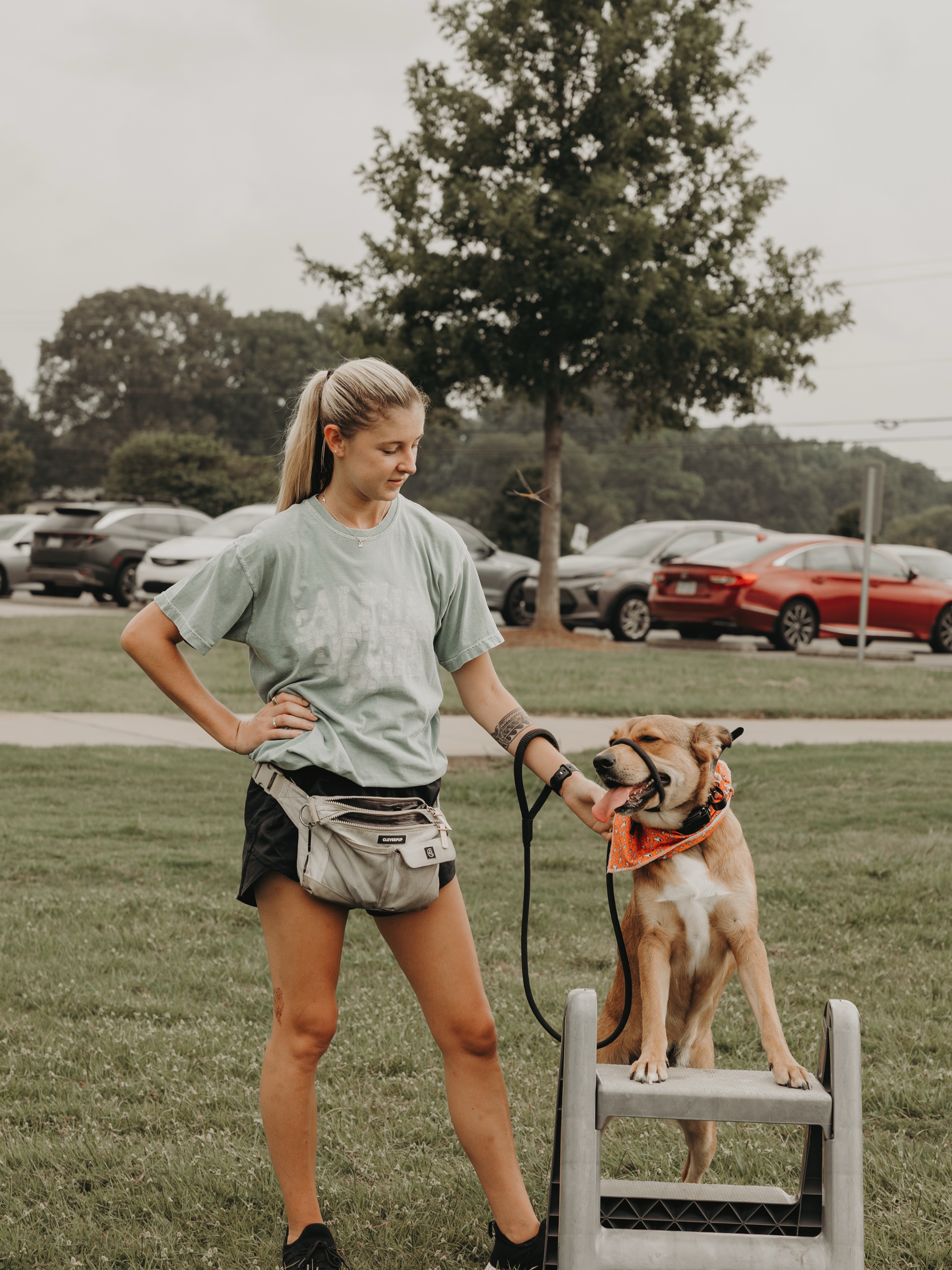 Dog training is more than having a dog that will sit and go on a walk without pulling on the leash. In any of our programs we teach you how to better communicate with your dog in a way they understand. Our goal is strengthen the relationship you have with your dog!🥰 

Are you ready to start your training journey? Give us a call at 980.680.2030 or click the link in our bio to get started!👏

.
.
.
.

