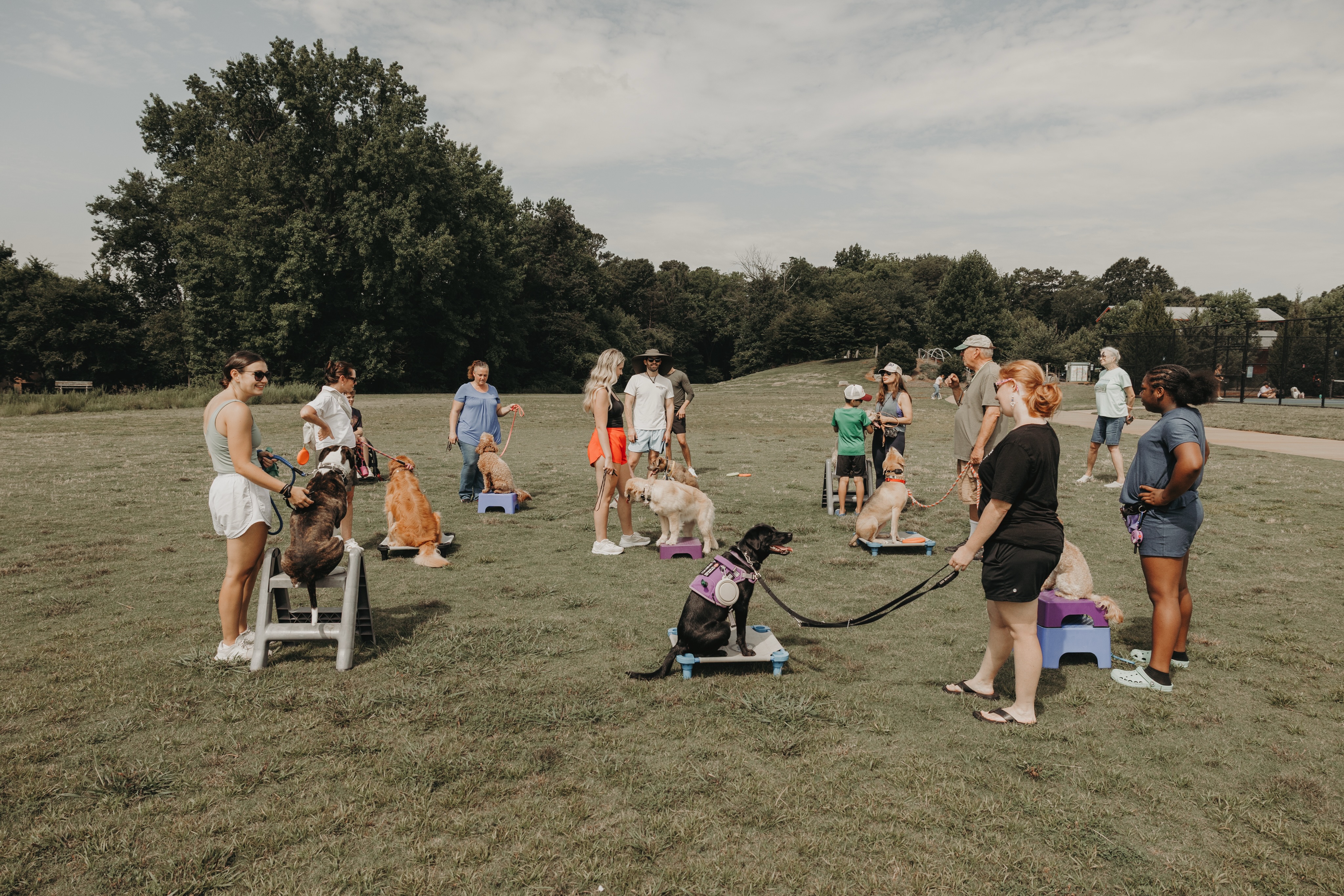 Group class this Saturday 7/18! ✨ The online sign up is full right now but feel free to text our office to get you on the list for this weekend!

.
.
.
.

