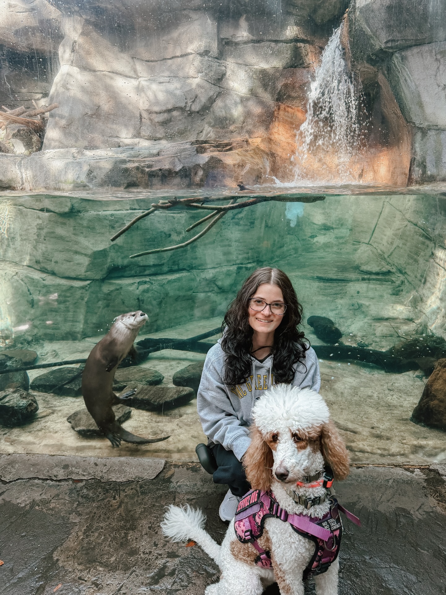 Willow and Grayson made a new friend!🦦

It’s so fun to see what all our service dog teams get to experience together!👏🏼🤩

.
.
.
.

