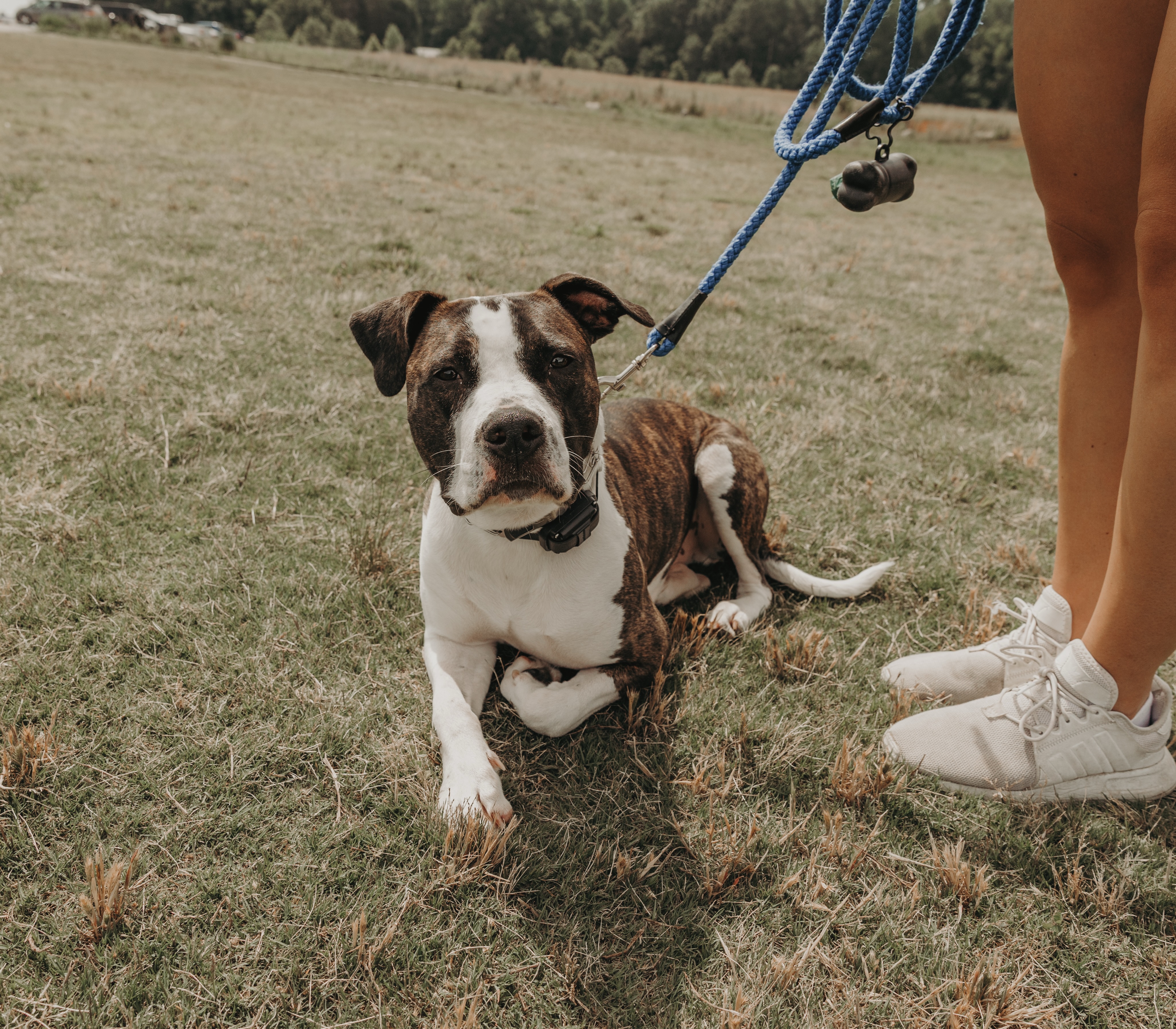 Ozzy was a rockstar at his first group class!🤩

If your dog is struggling to listen around other dogs and distractions, group class is the perfect opportunity to work with your pup!👏

.
.
.
.

