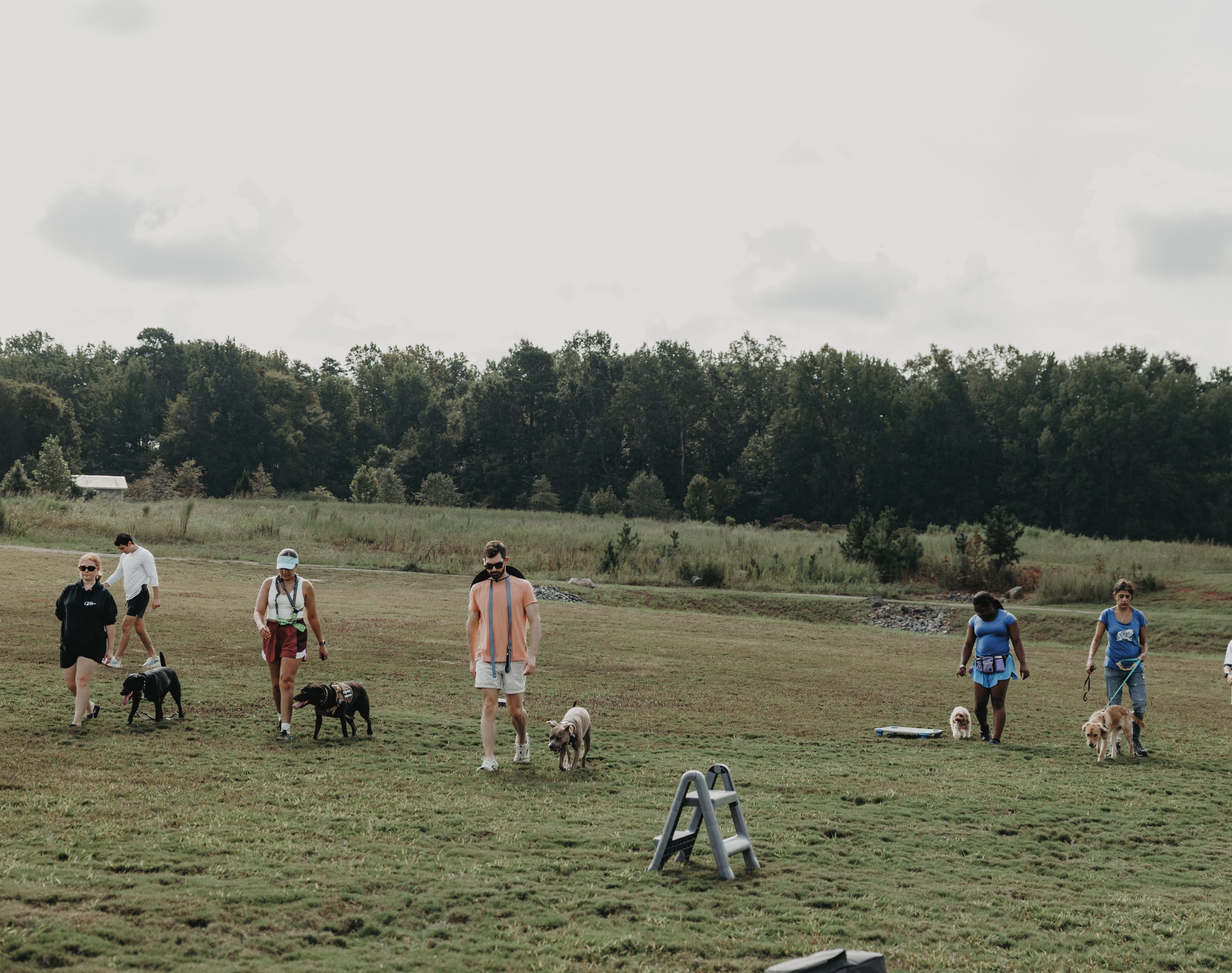 If you look closely that&rsquo;s FOUR dogs off-leash walking in a heeling position with their handlers right next to each other!!👏

Do you need help teaching your dog off leash recall or just overall impulse control around other dogs? Let us help by booking a free evaluation today!🐶

.
.
.
.

