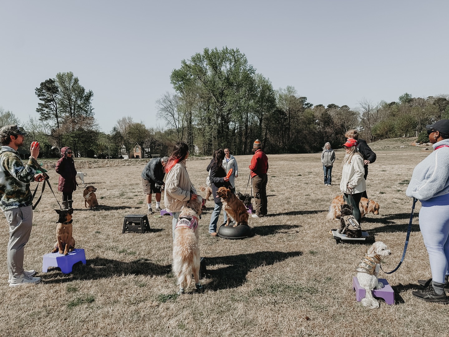 No group class this weekend - we hope everyone has a wonderful holiday weekend!💗🐾

.
.
.
.

