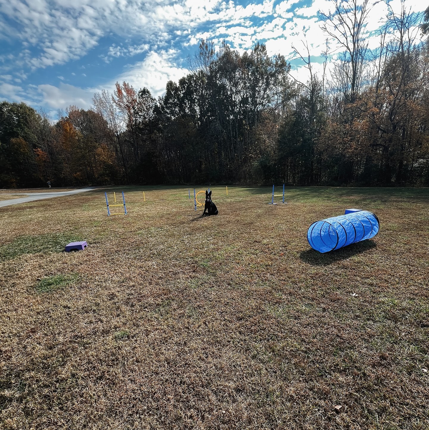 Kimberly and Knight set up a fun class at Crooked Creek last weekend!👏🏼🐾

.
.
.
.

