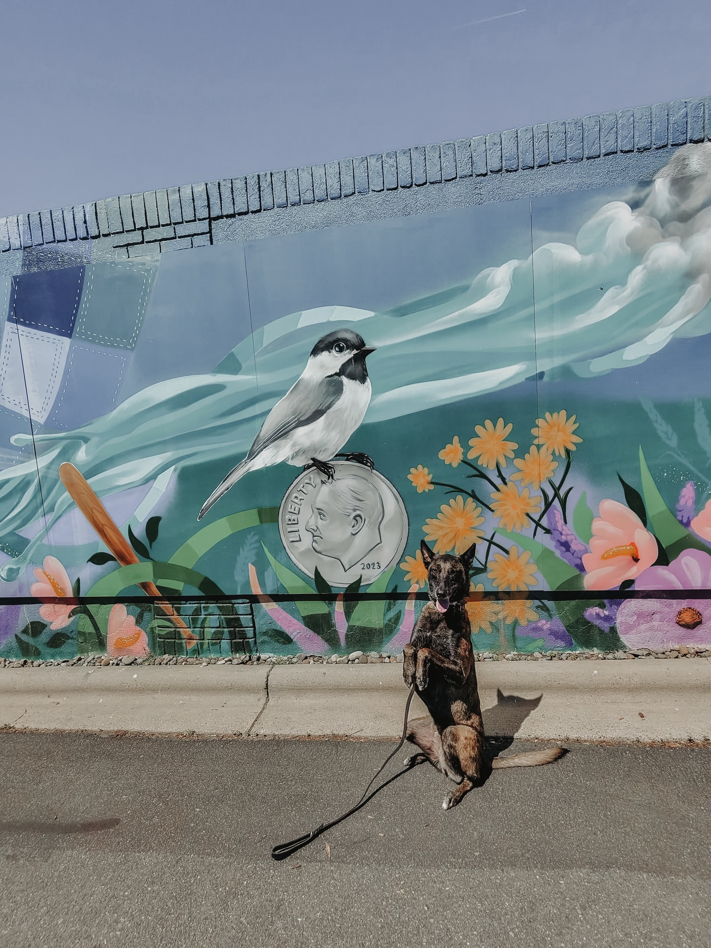 Ryder fangirling over some of his favorite celebrities! 🐿️🐤😂

.
.
.
.

