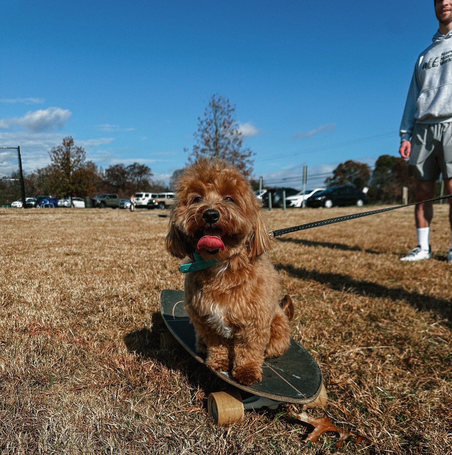 Mabel attended her first group class! Reminder that both locations are having group class this Saturday 12/6! This will be the last group class at Clark’s Creek and there will only be one other for Crooked Creek after this one before the year ends so make sure you’re signed up!

.
.
.
.


